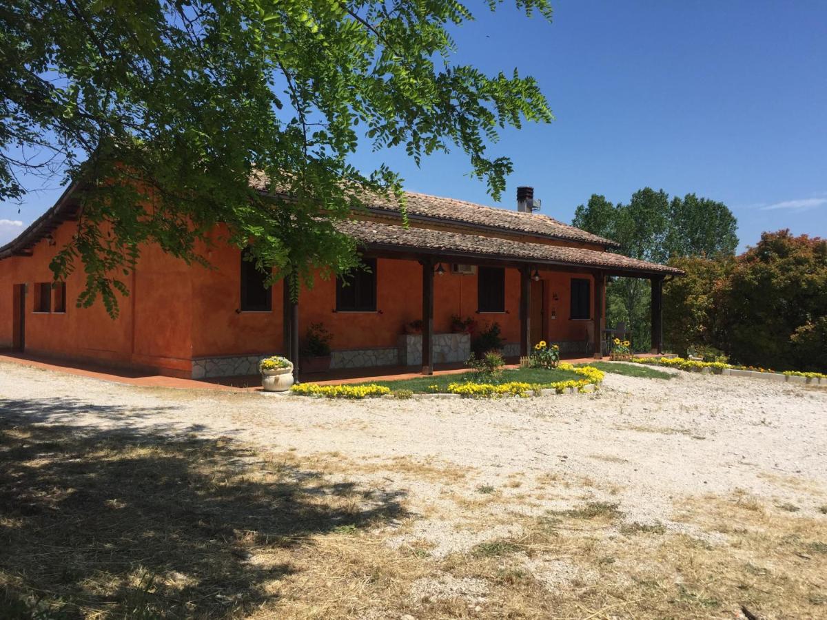 Il girasole b&b view 5