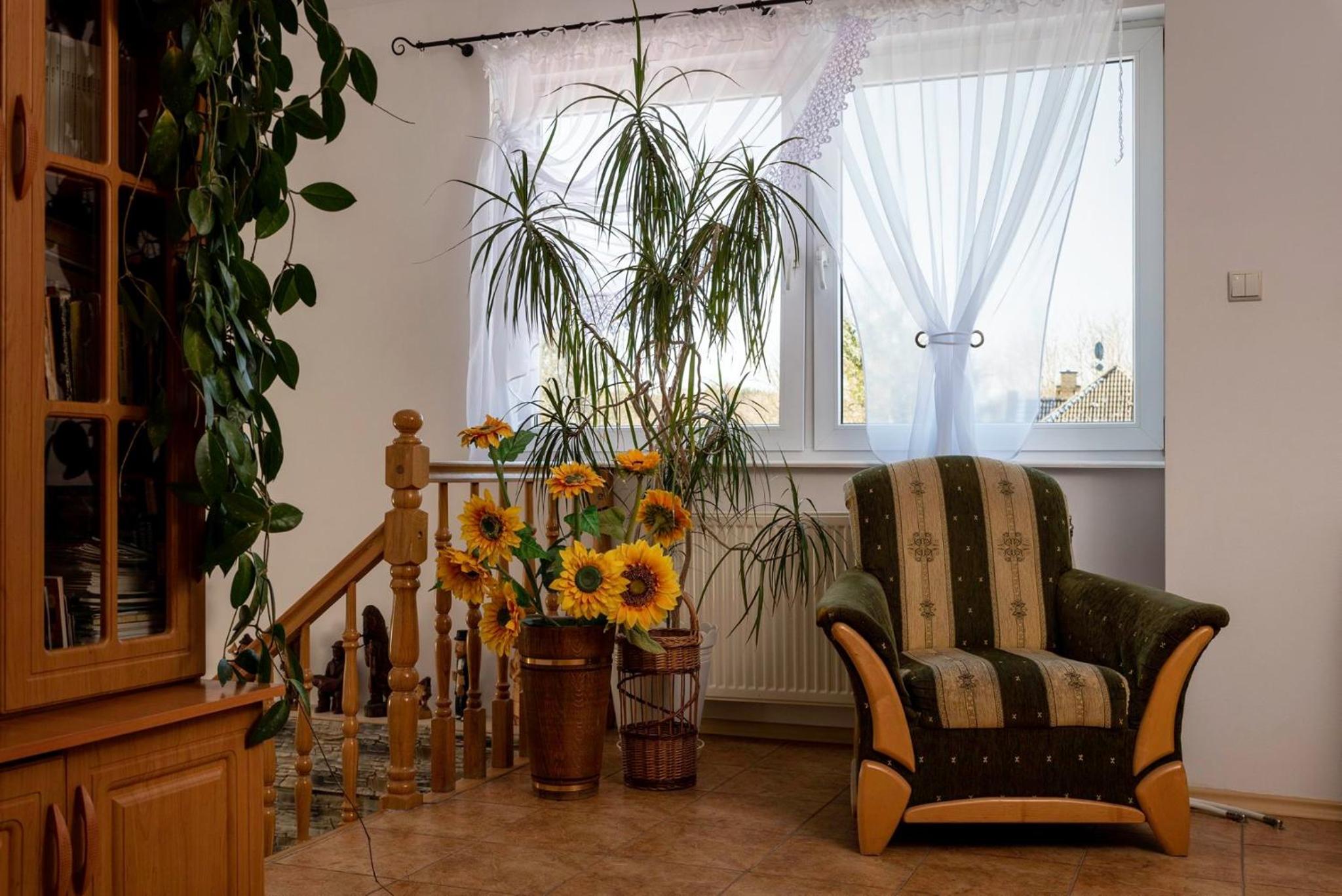 Agroturystyka Gawryś pokoje view 3