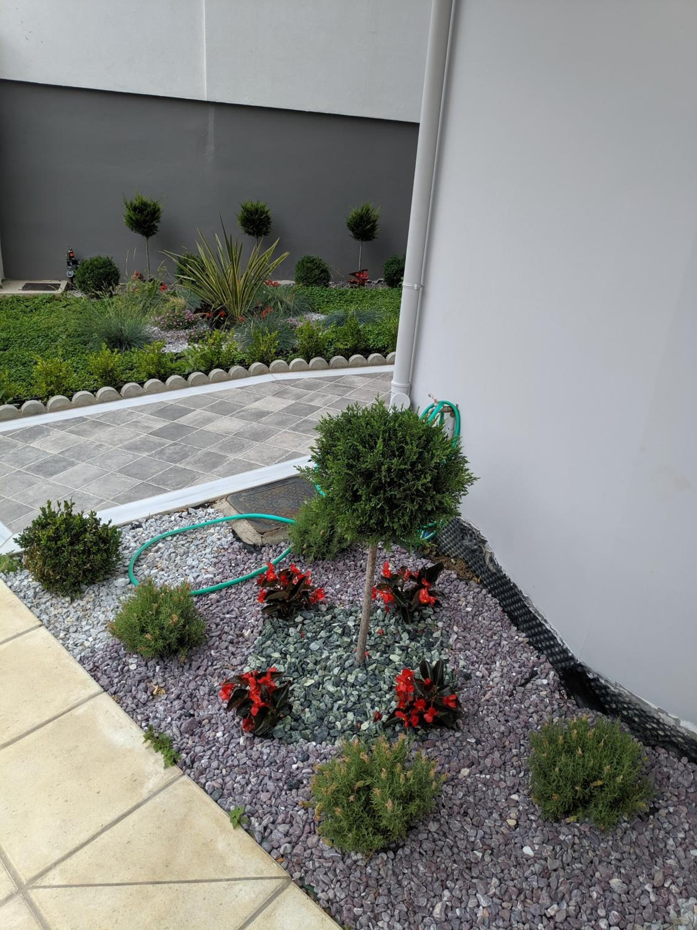 Photo 10