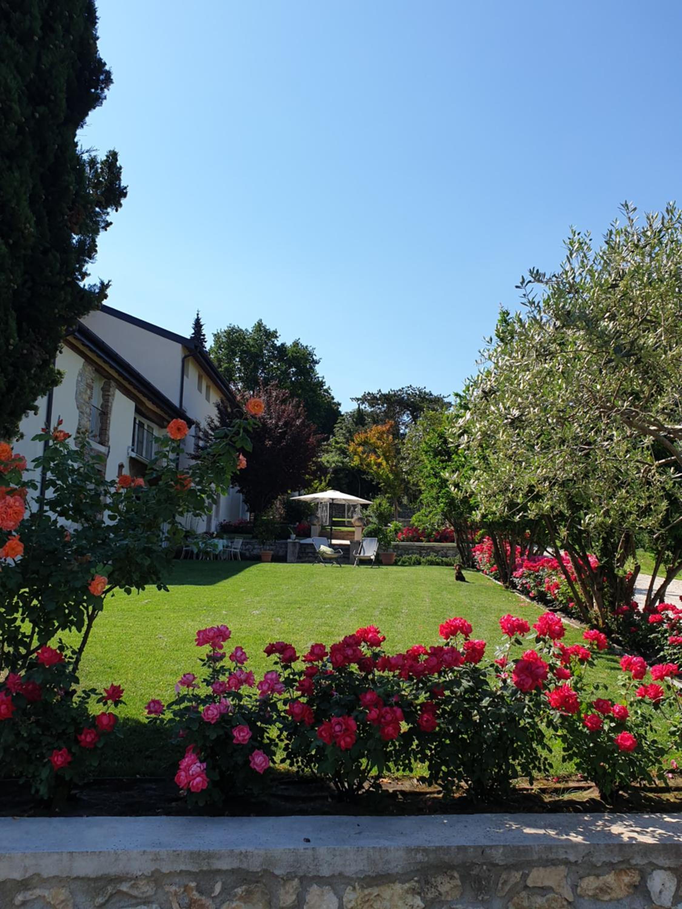 Photo 15