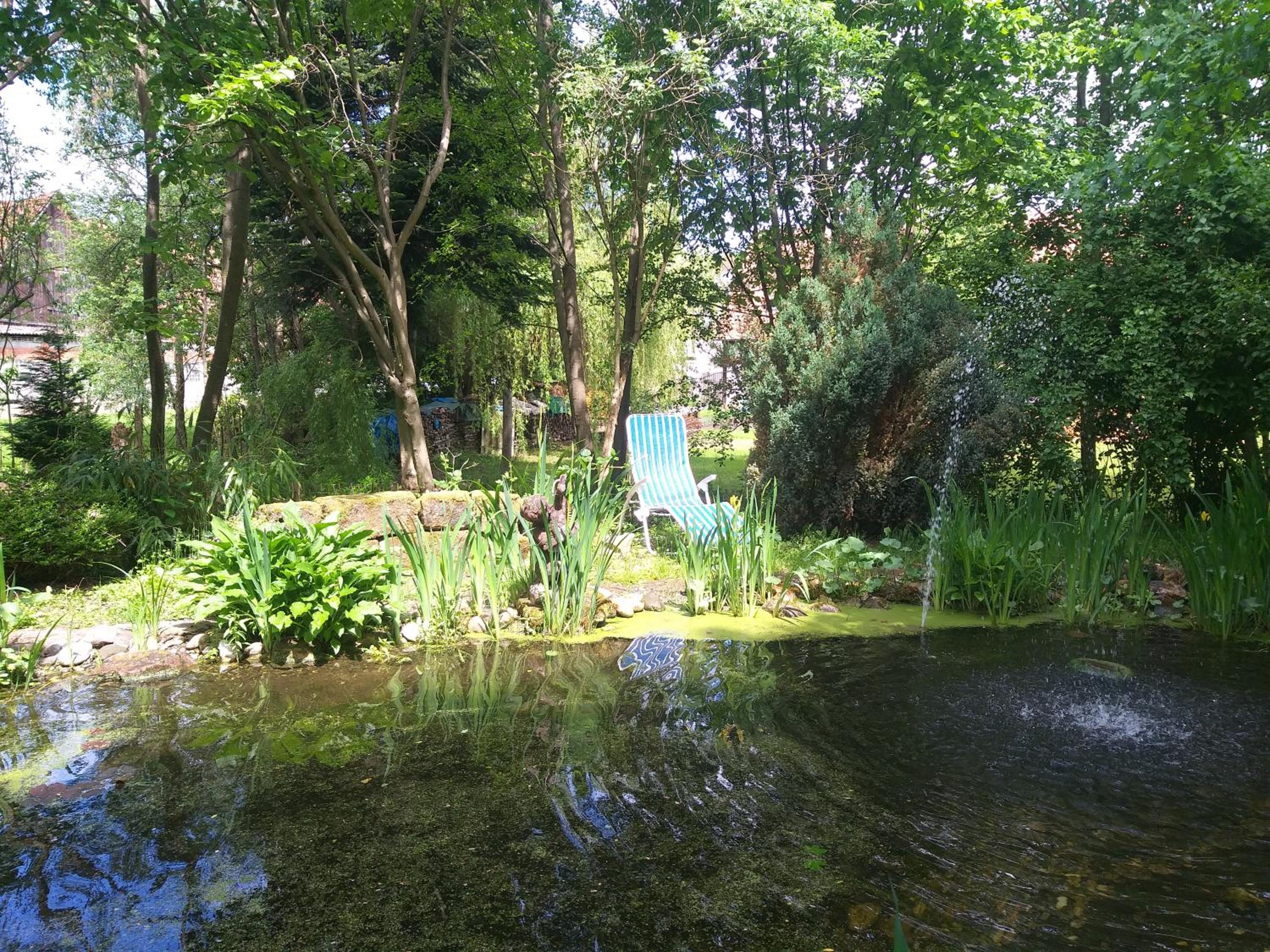 Photo 34