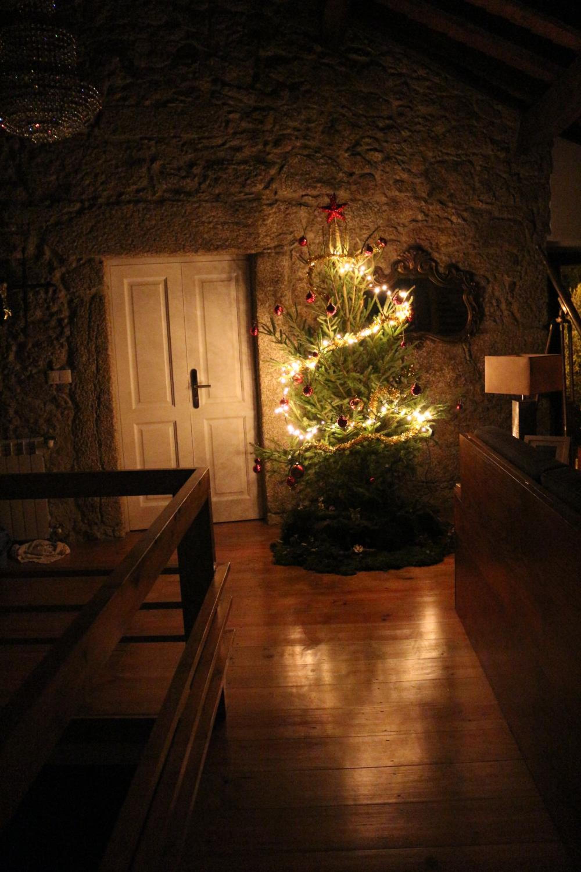 Photo 46