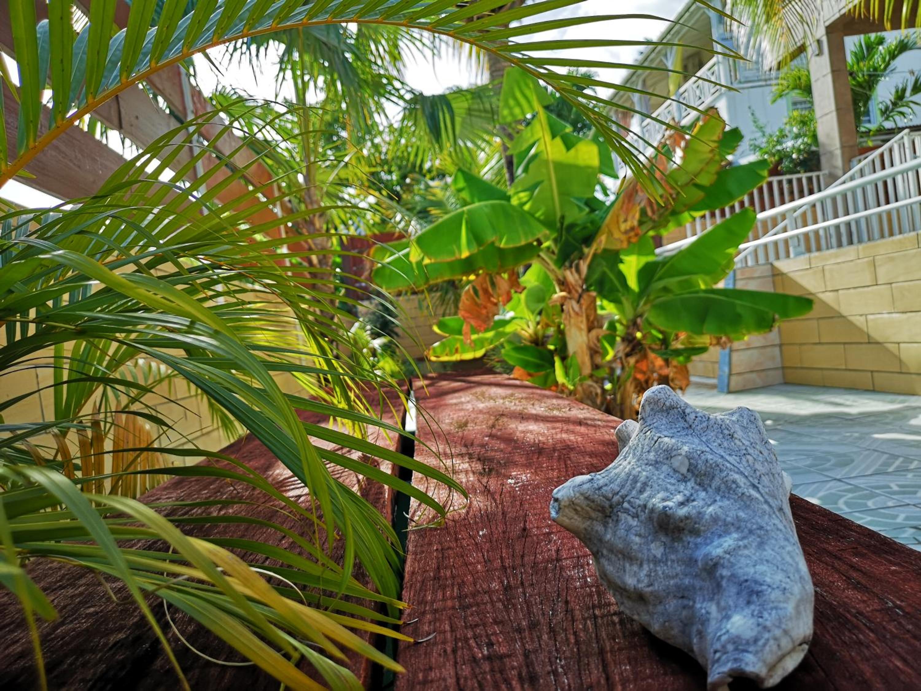 Villa Pistaches - Photo 58