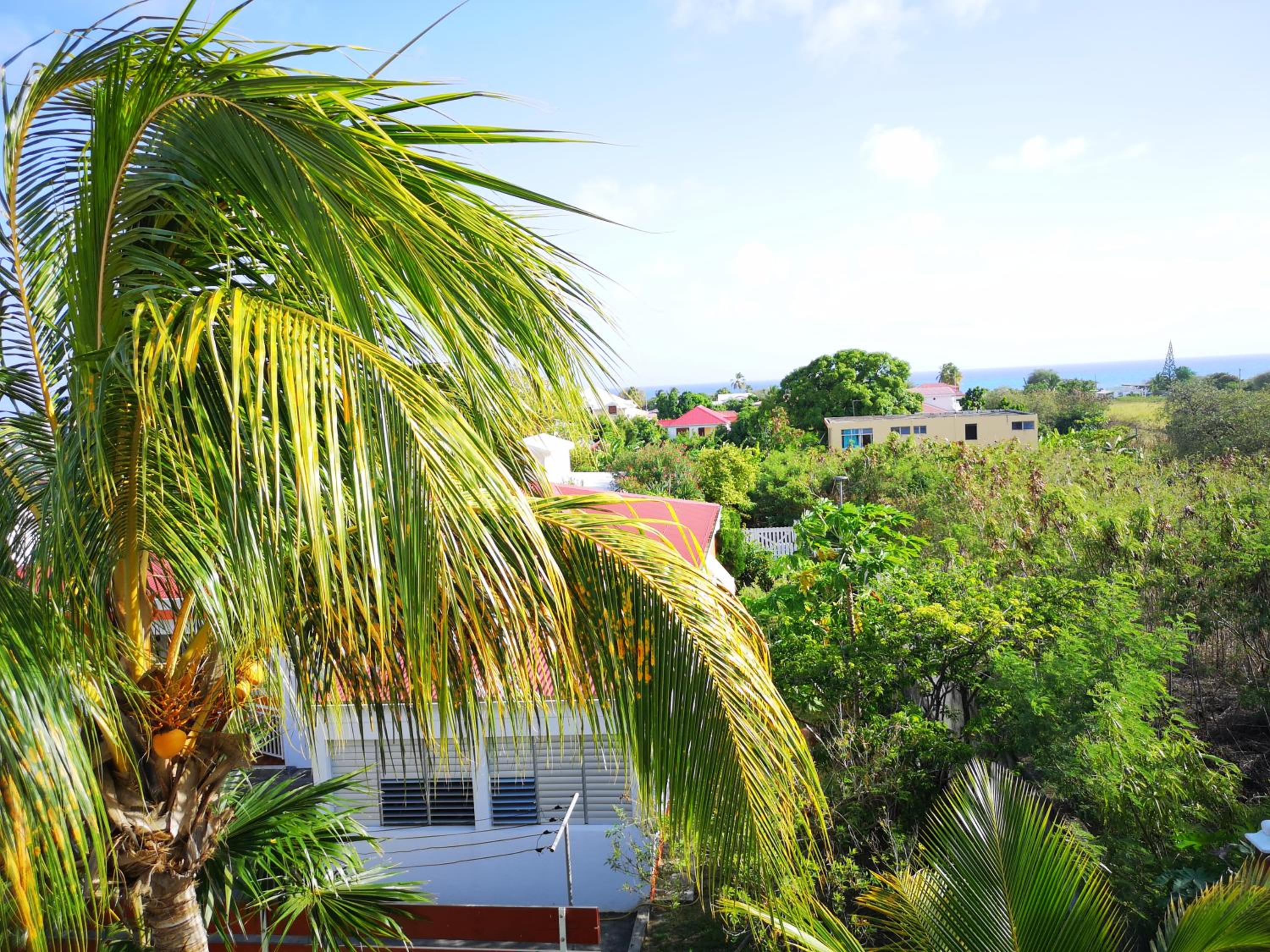 Villa Pistaches - Photo 57