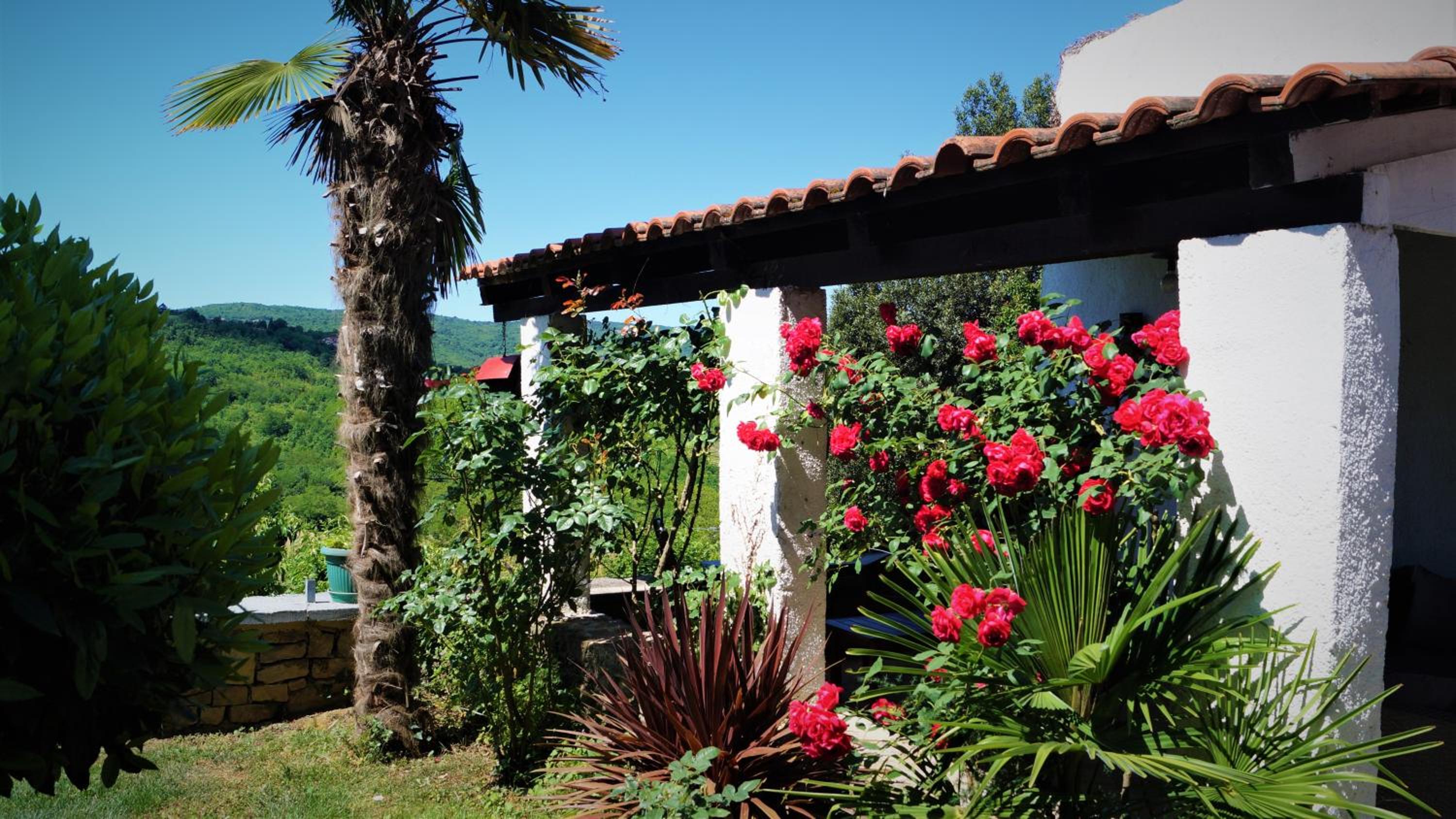 Apartments Garden
