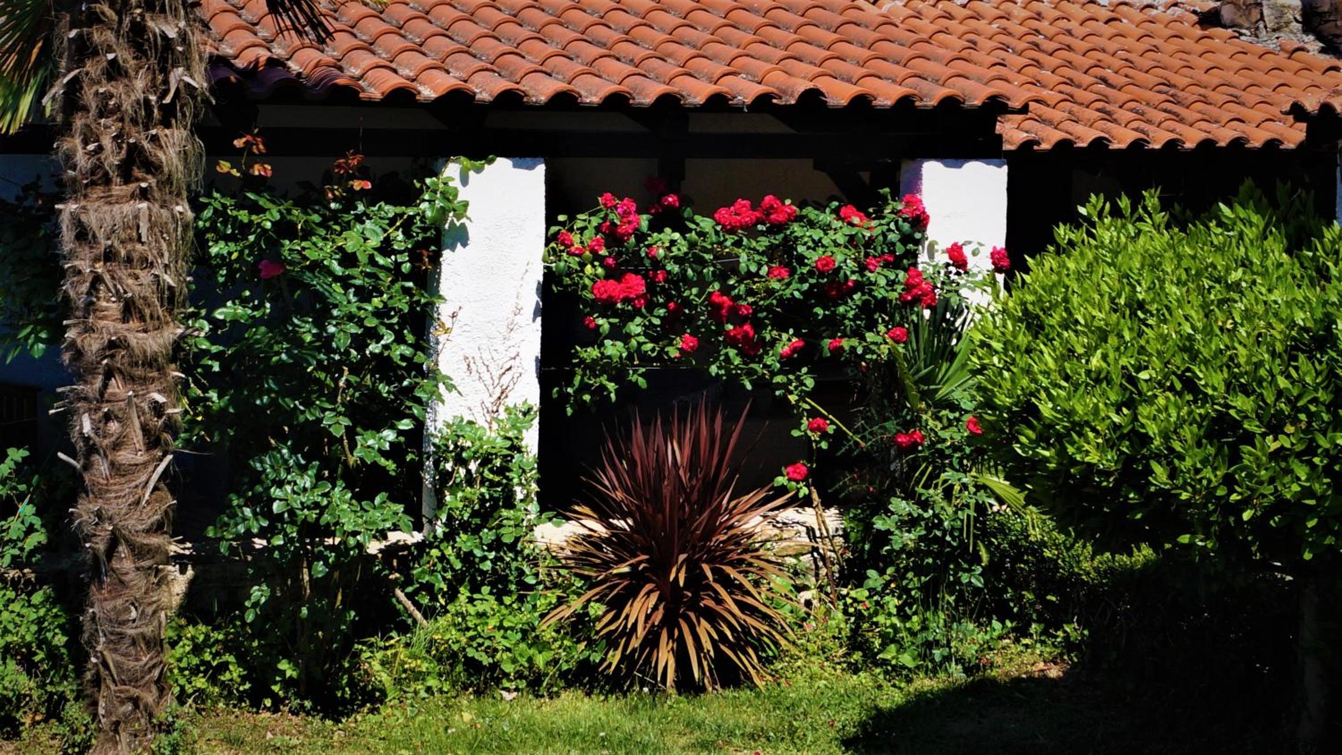 Apartments Garden