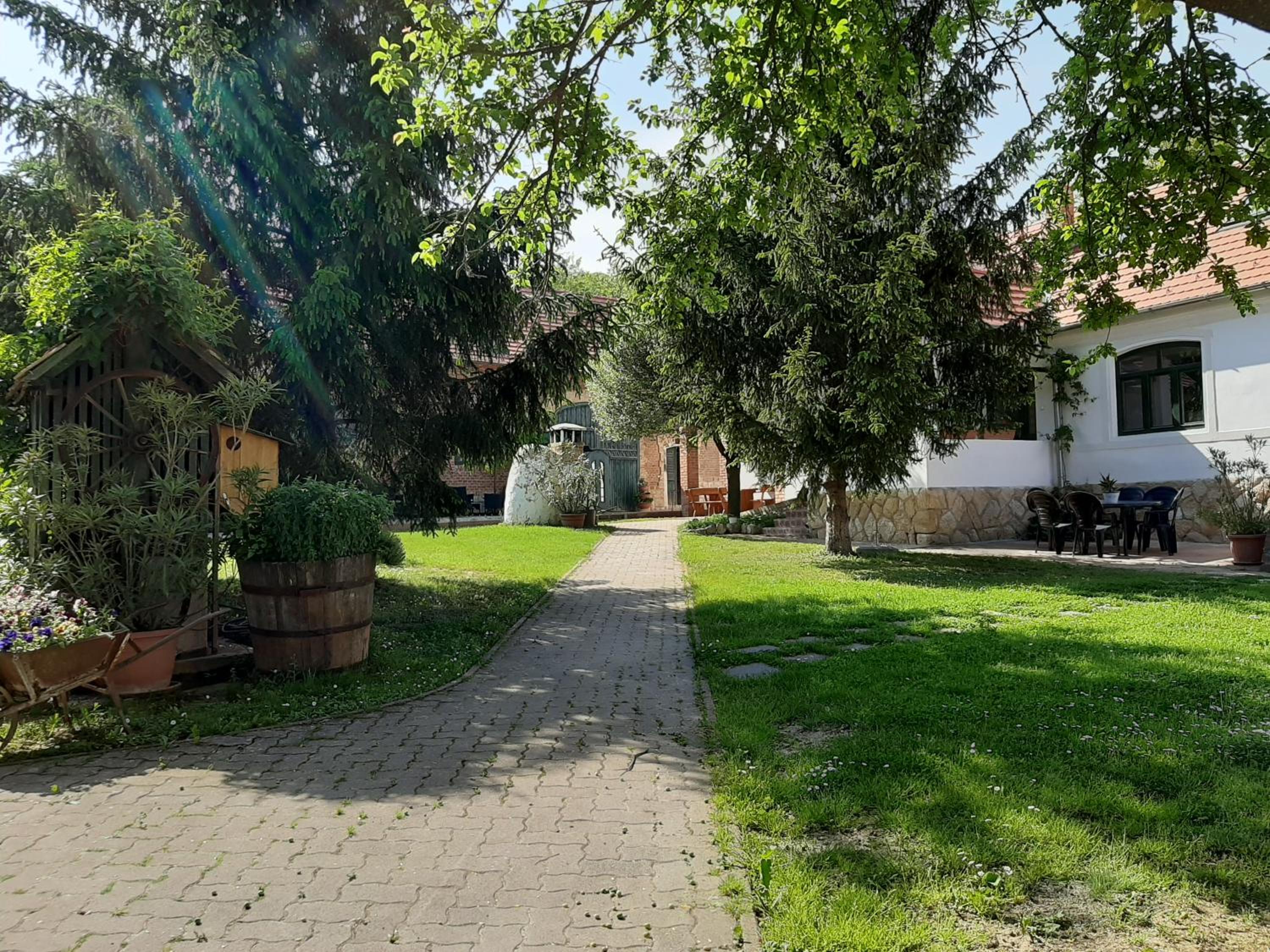Photo 32