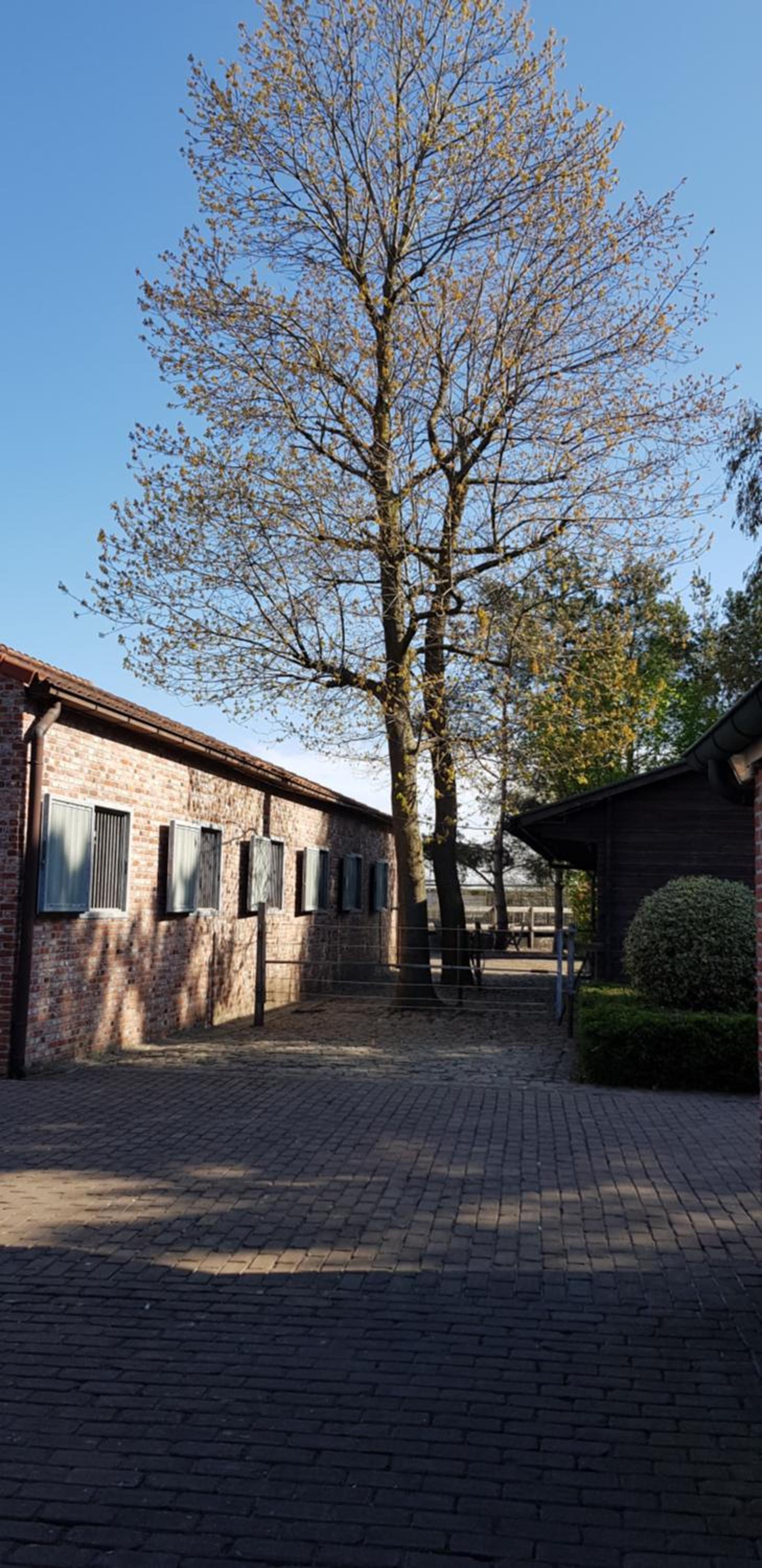 B&B Bergenhof