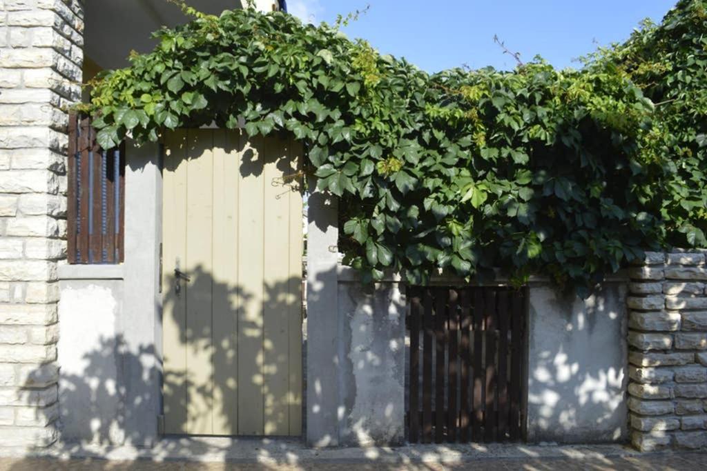 Private studio apartment with a garden and a terrace view 4