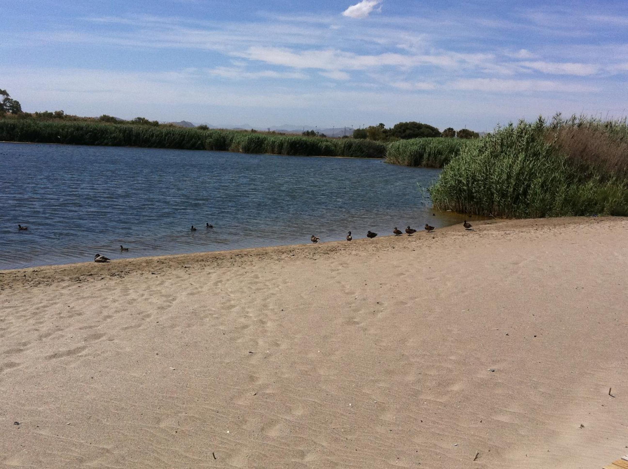 Photo 18