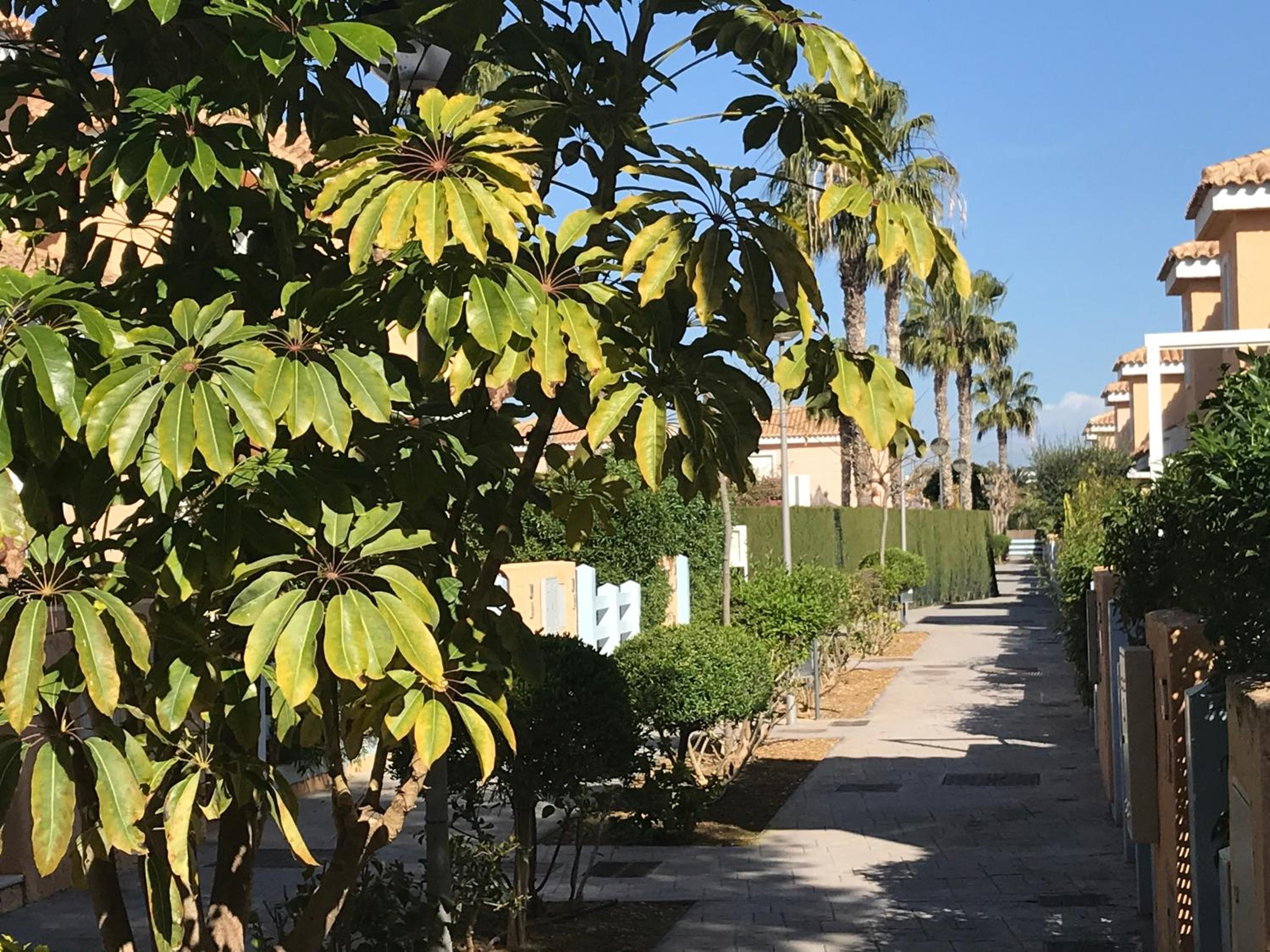 Apartamento VenAVera Playa - Playas del Sur P5-0C Bajo WIFI view 5