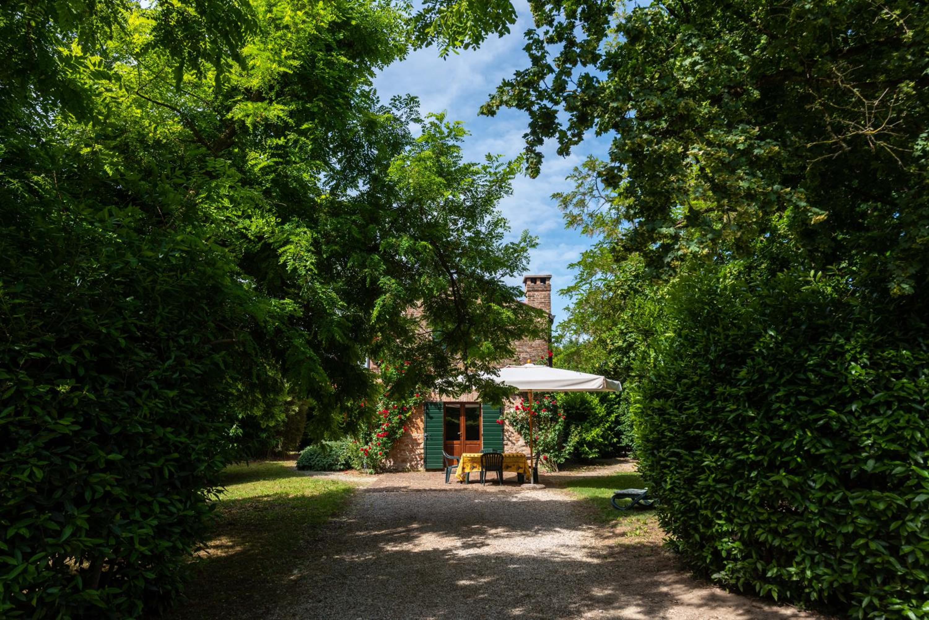 Country house pisani 120SQM — photo 5