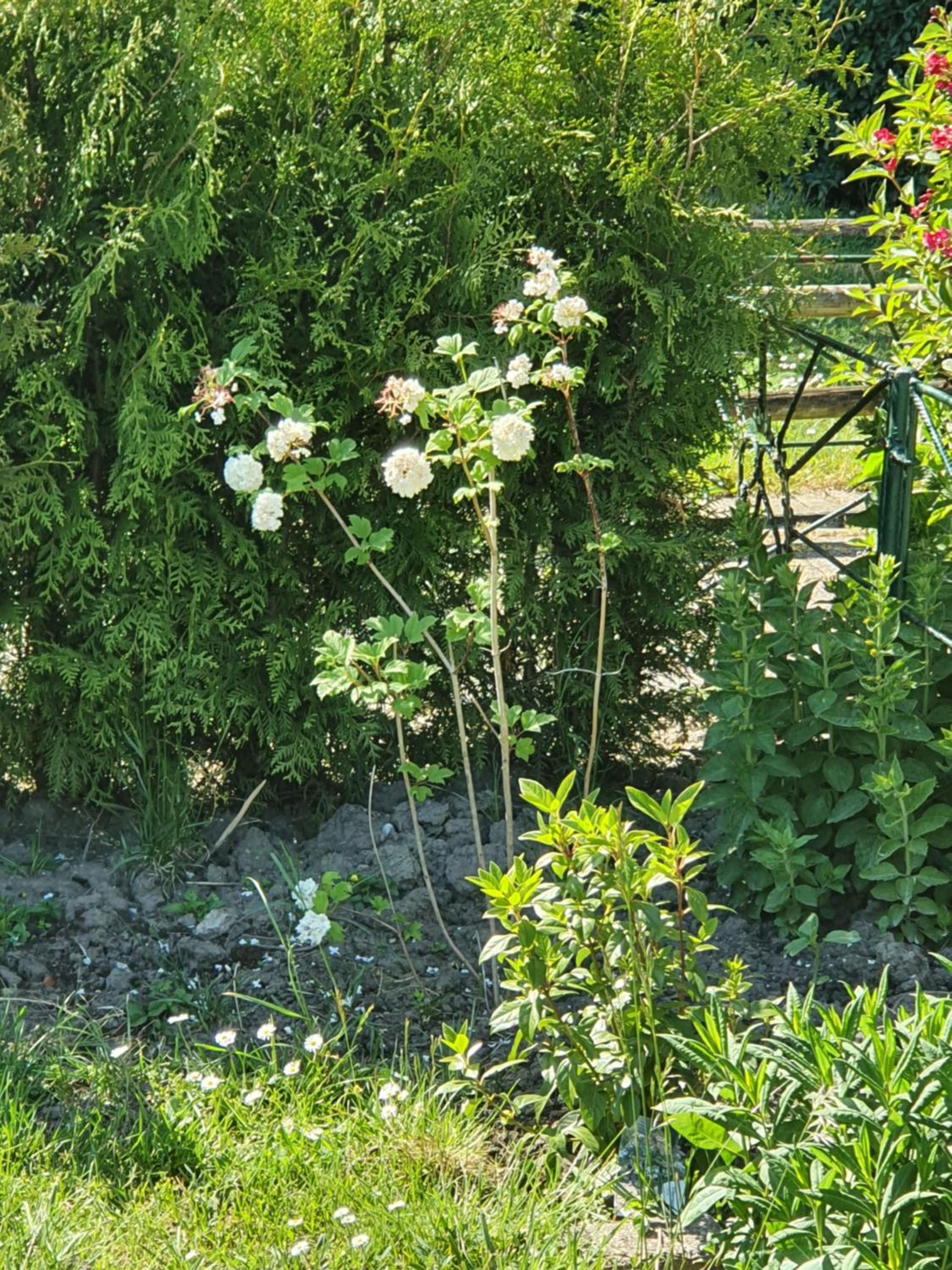 Photo 38