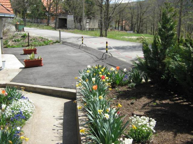 Photo 8