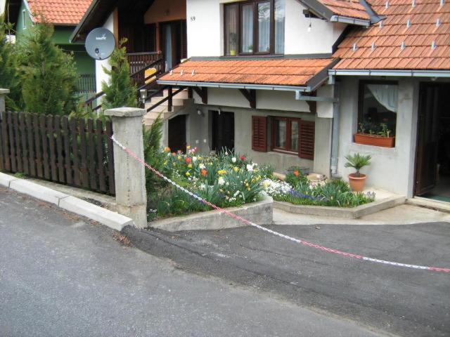 Apartments Zlatiborski Gajevi view 5