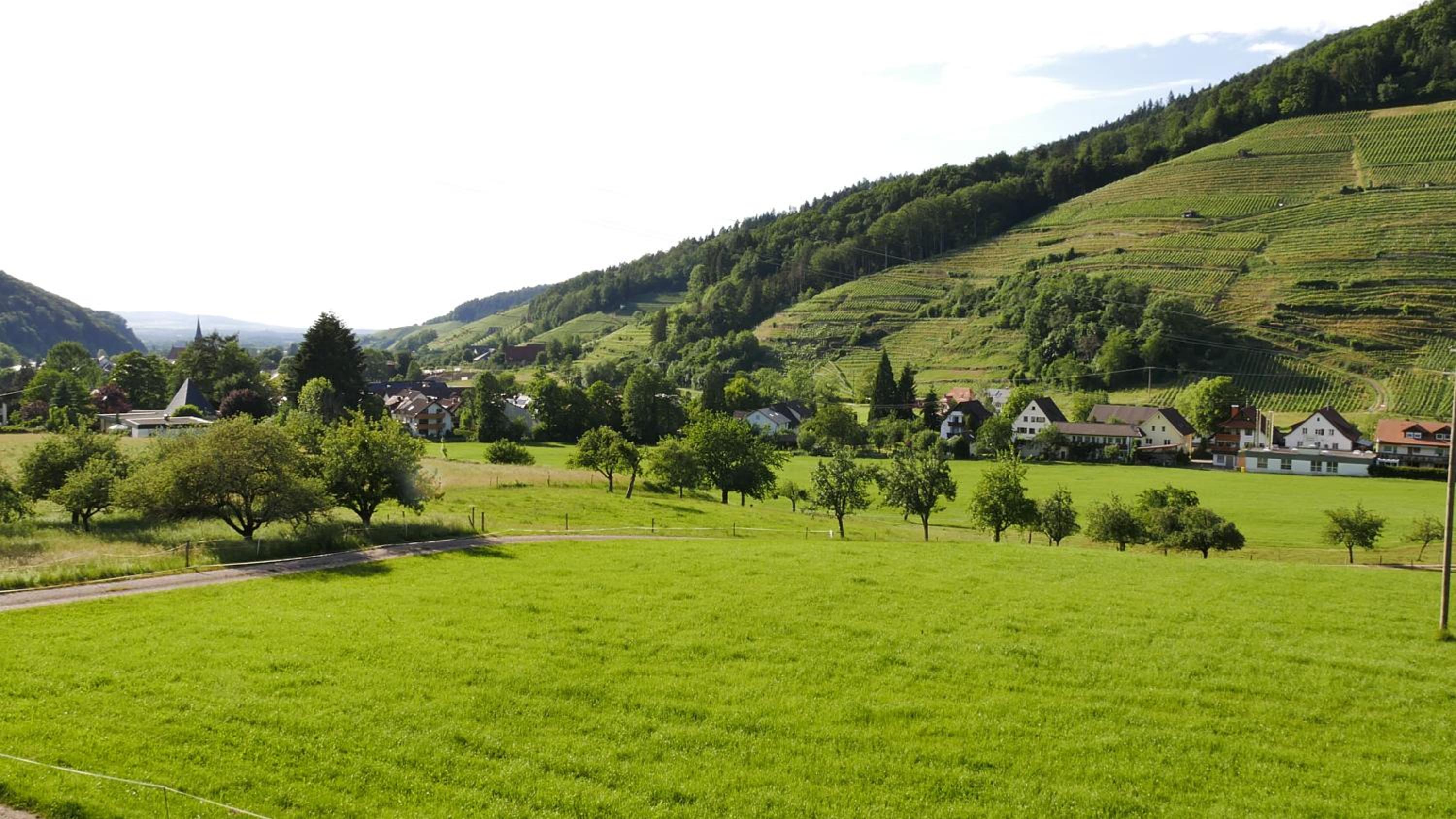 Tobererhof