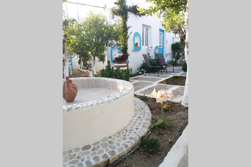 Photo 31