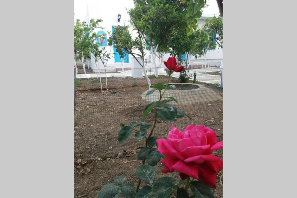 Photo 35