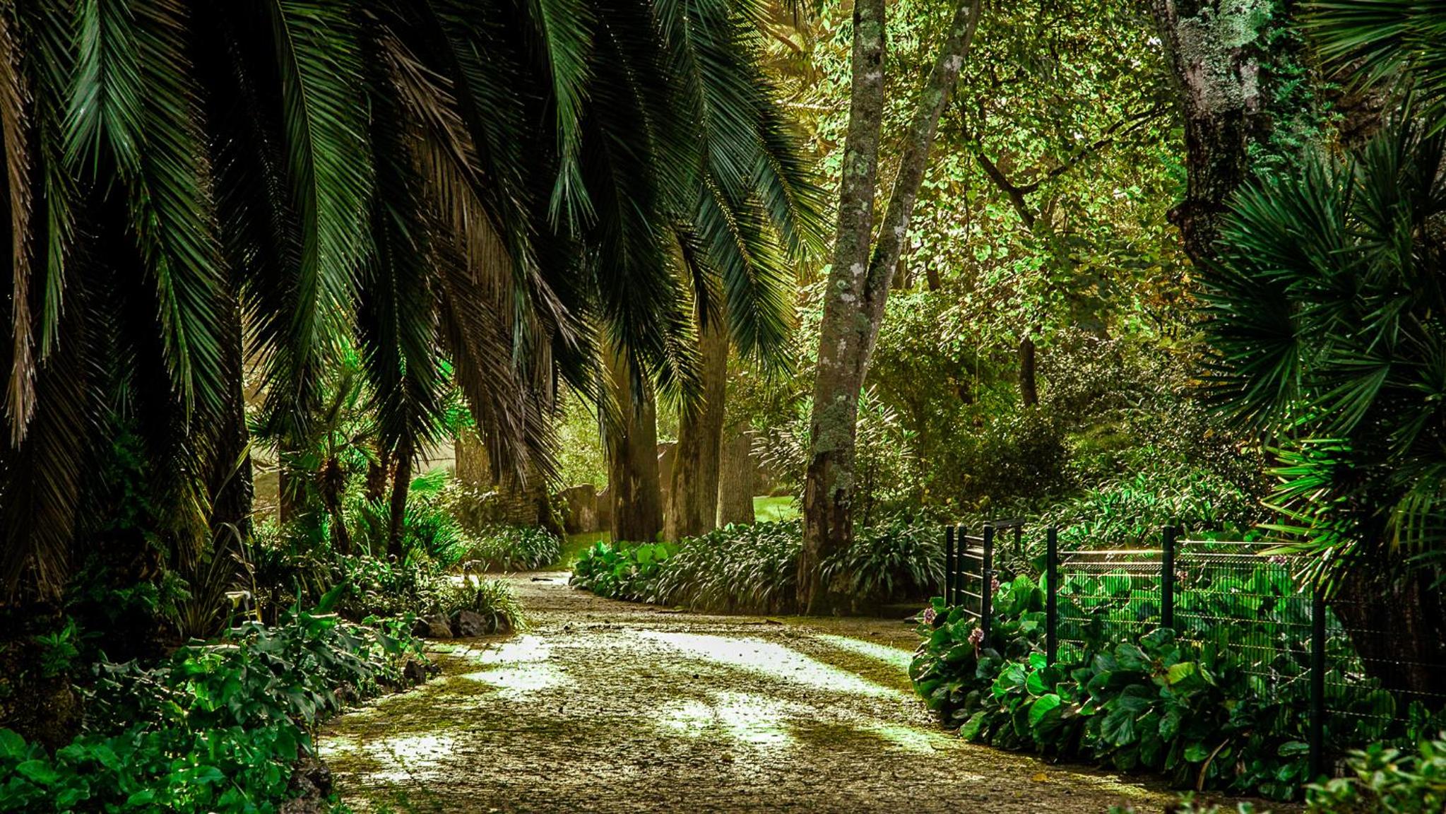 Sintra Marmòris Palace — 10