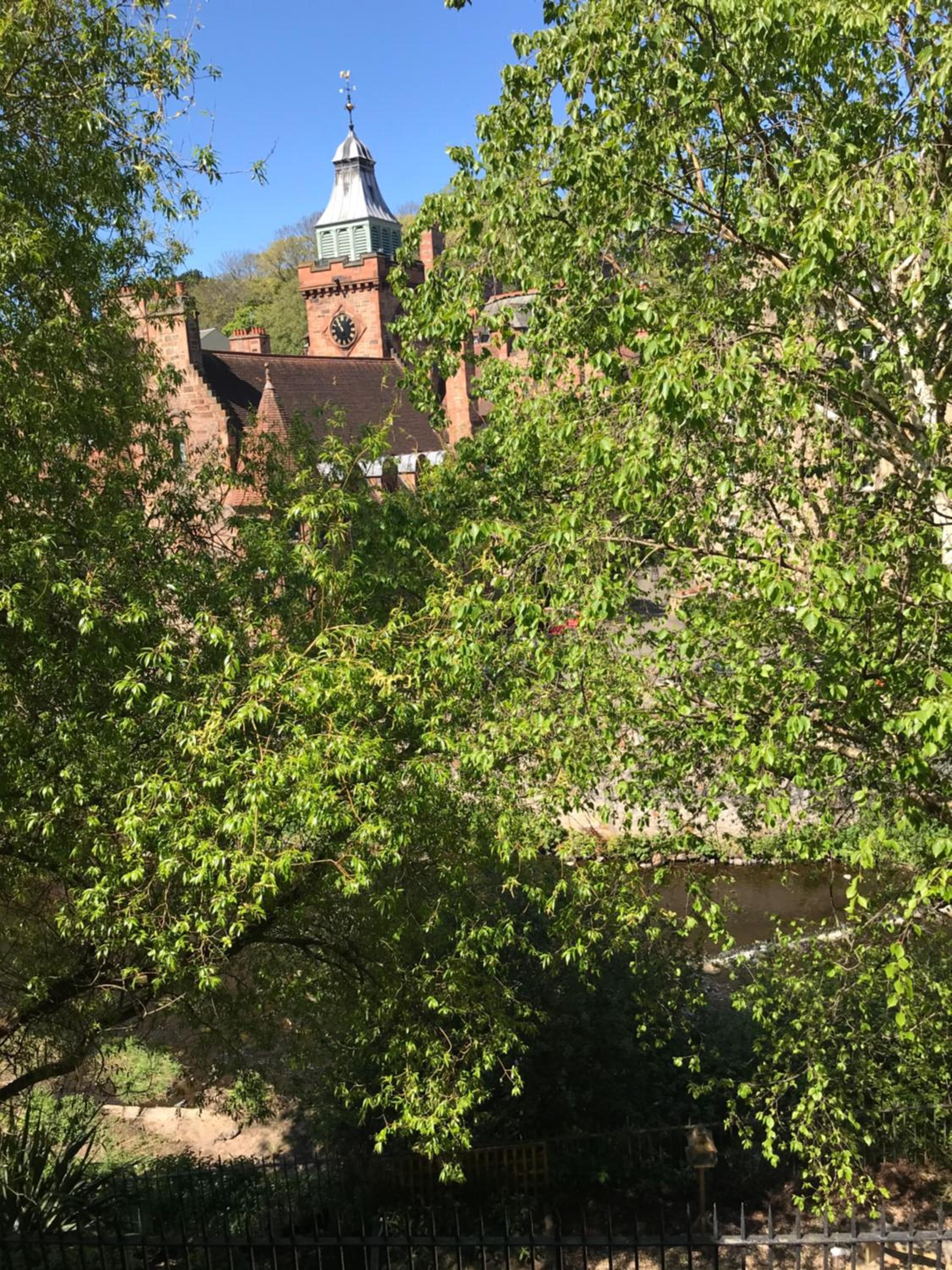 Photo 23