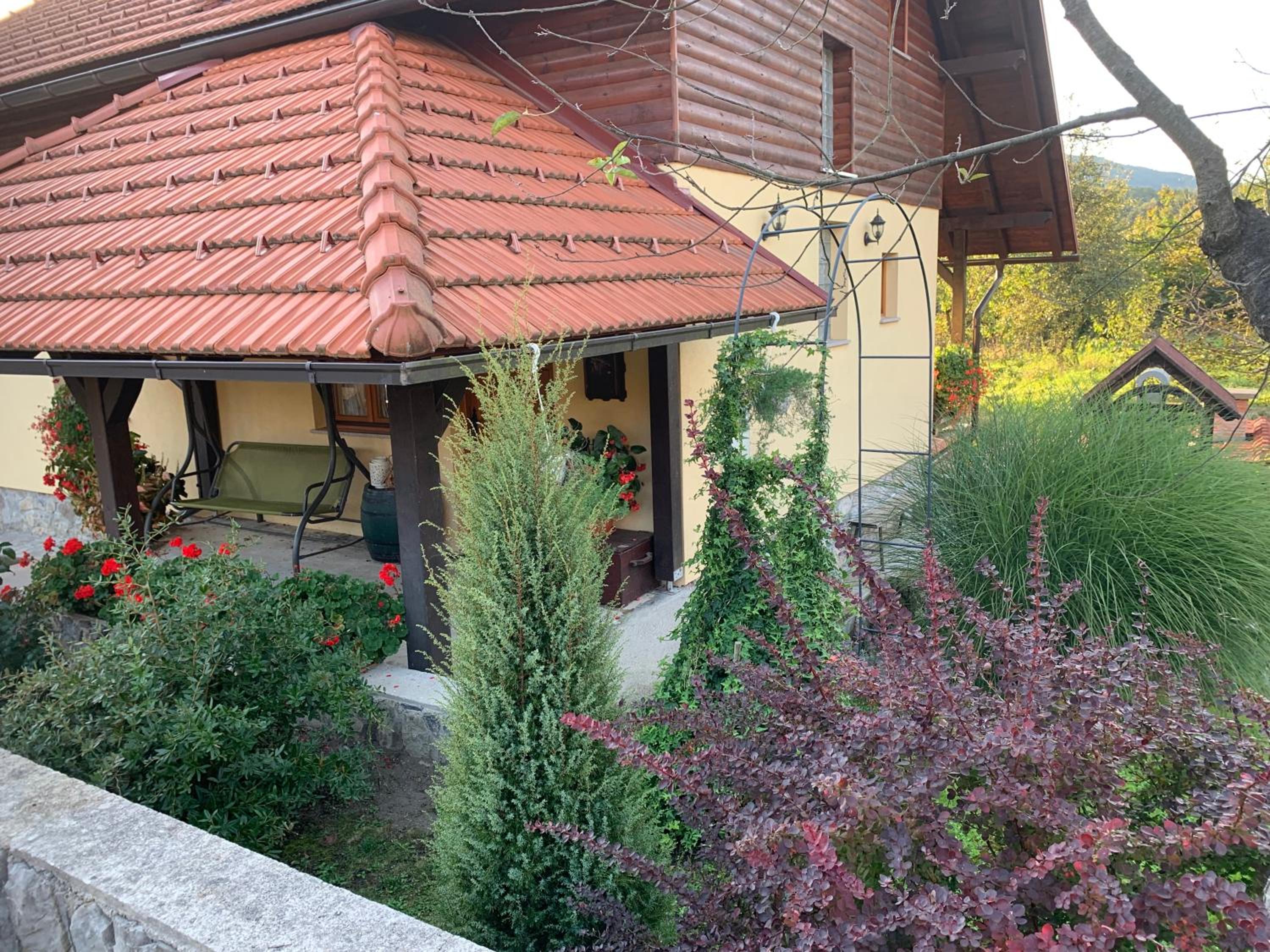 Photo 41