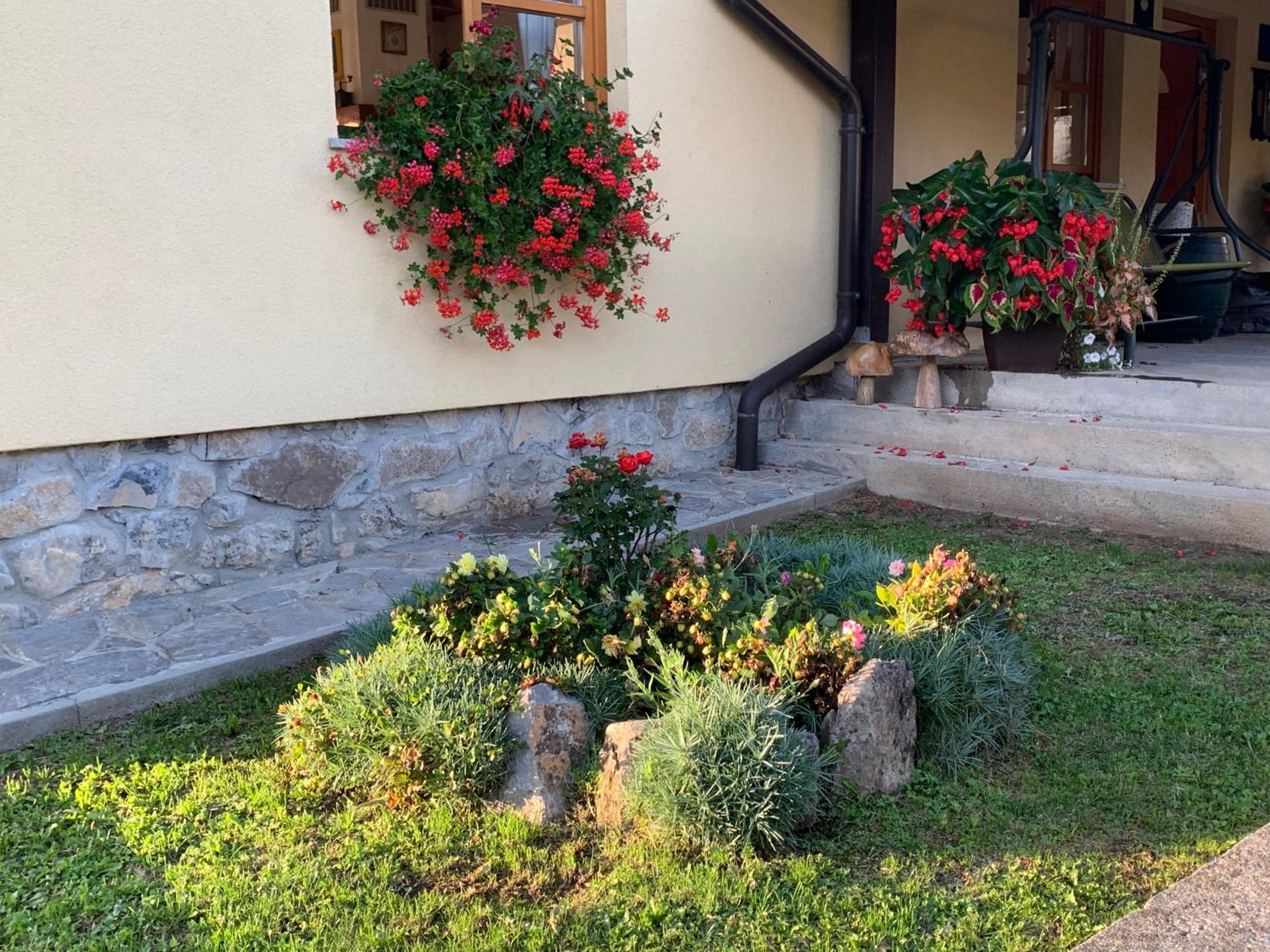 Photo 47