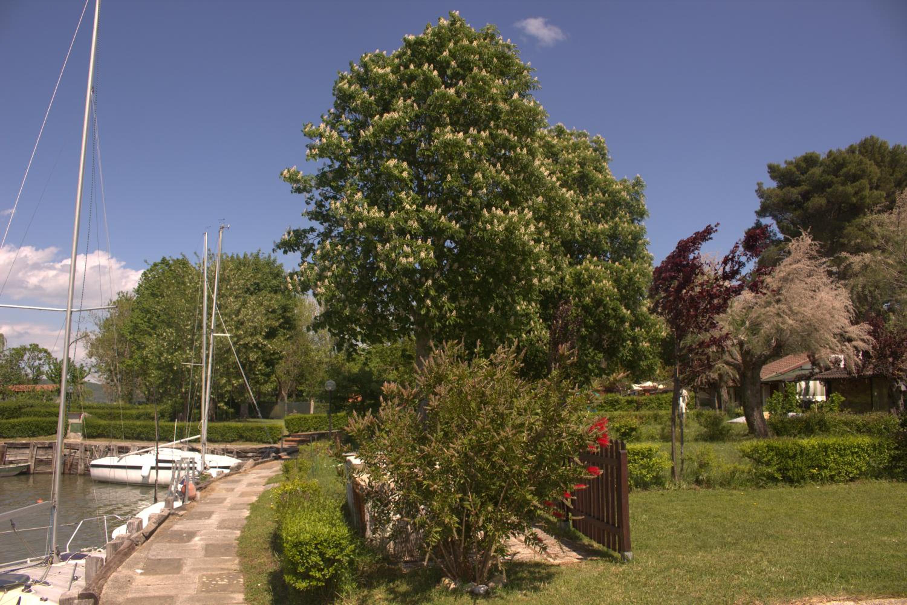 Chalet sul Trasimeno