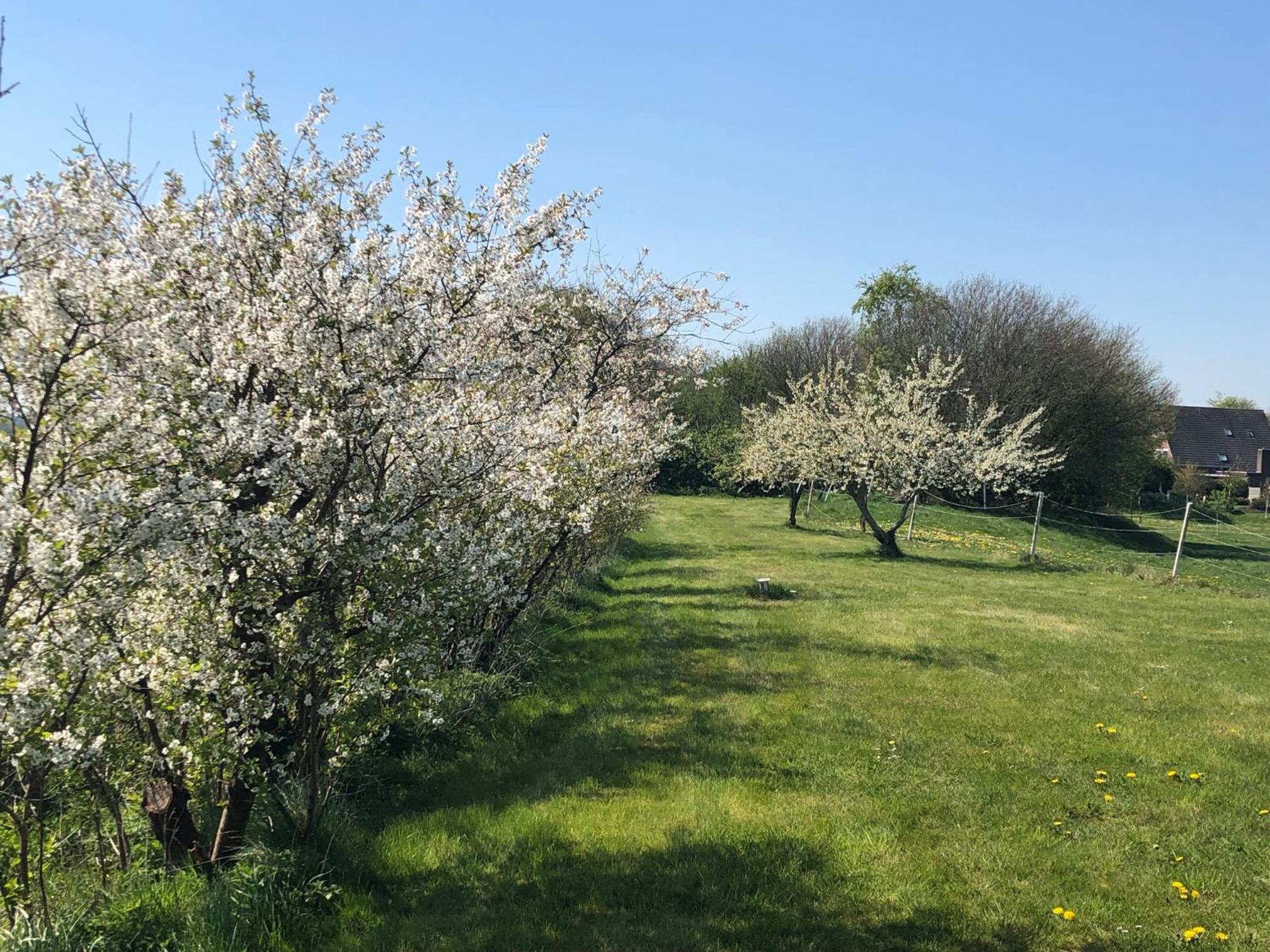Ferienwohnungen Am Mühlenhügel view 4