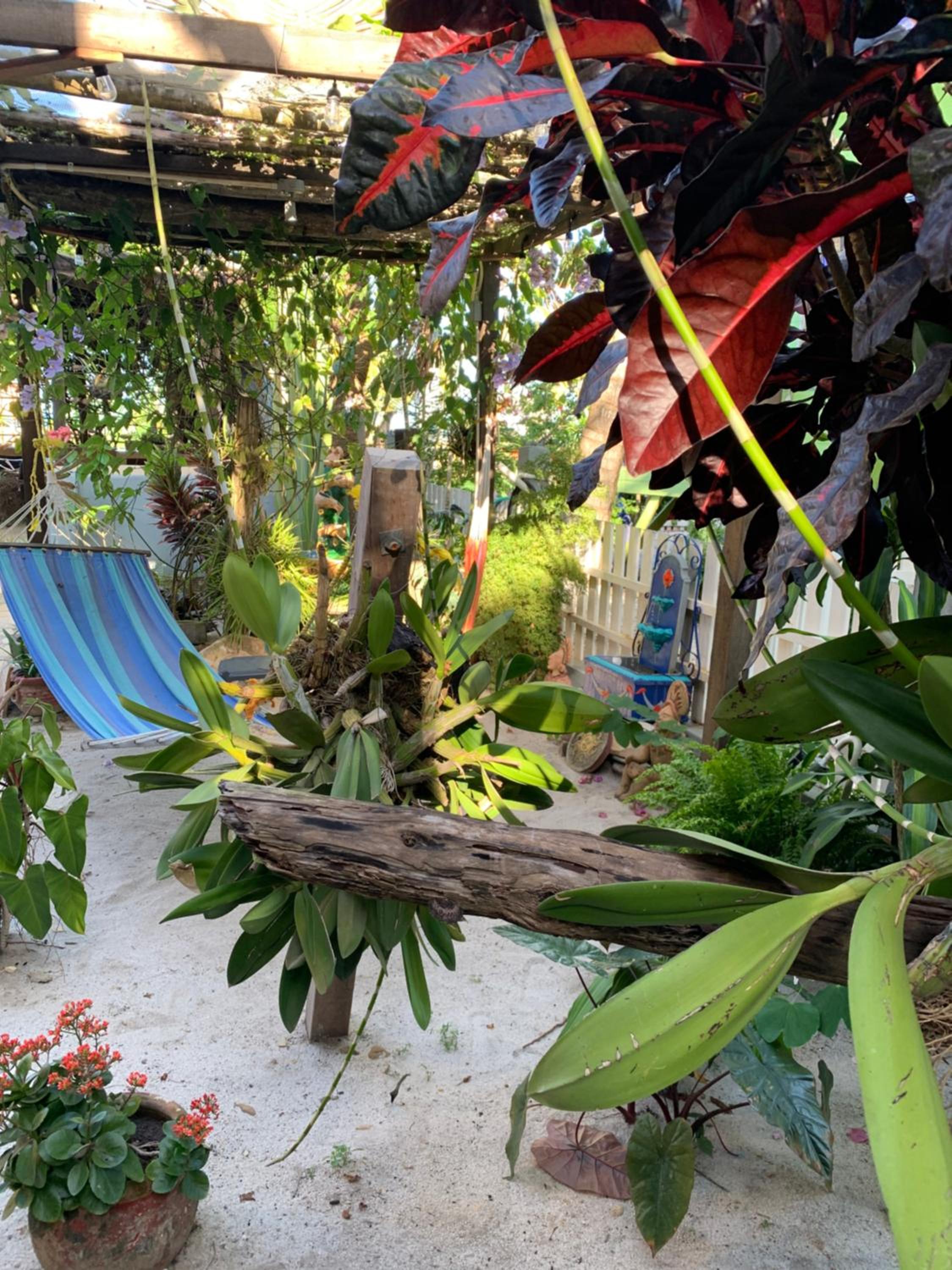 All Seasons Belize