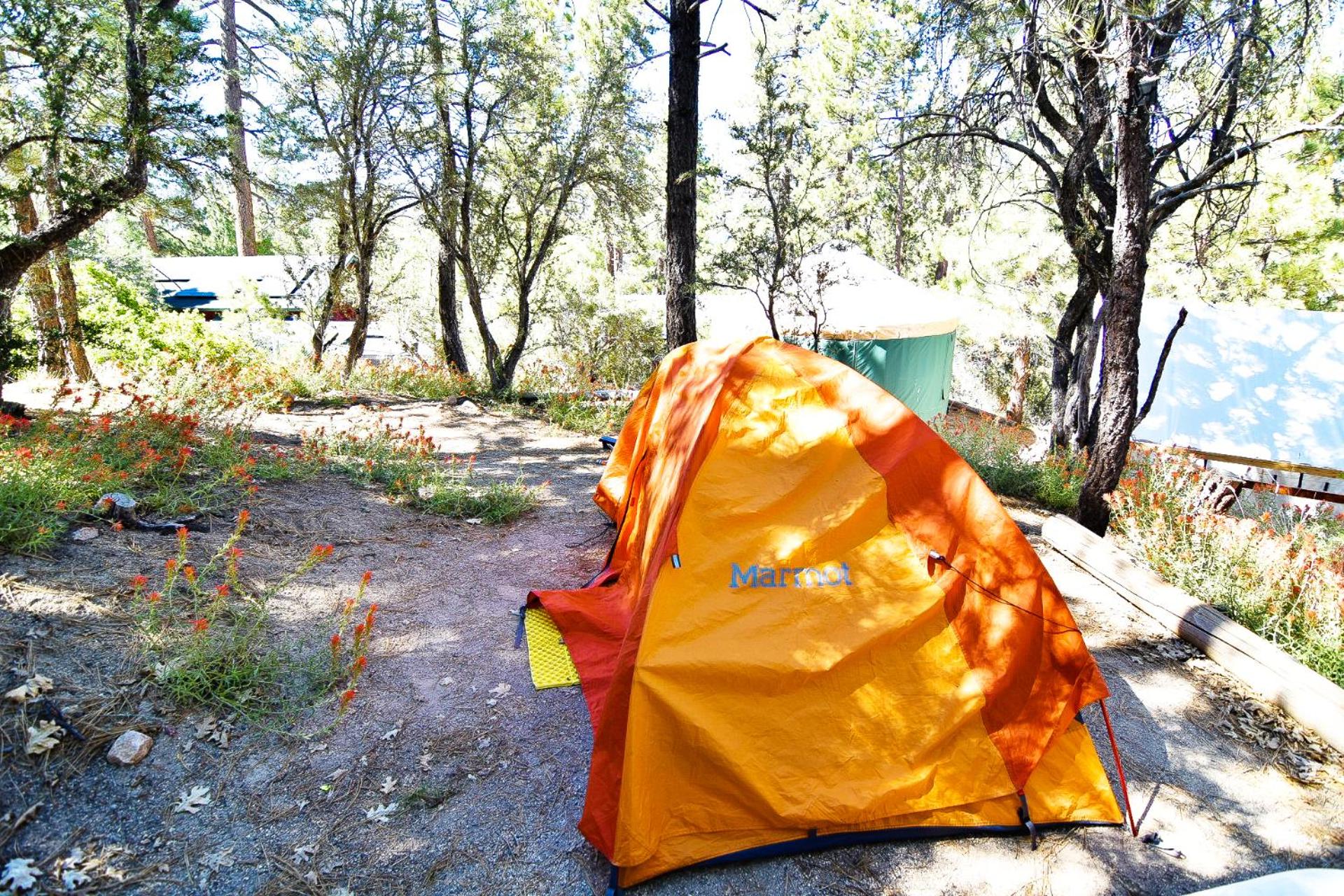 ITH Big Bear Lake Hostel & Lodge
