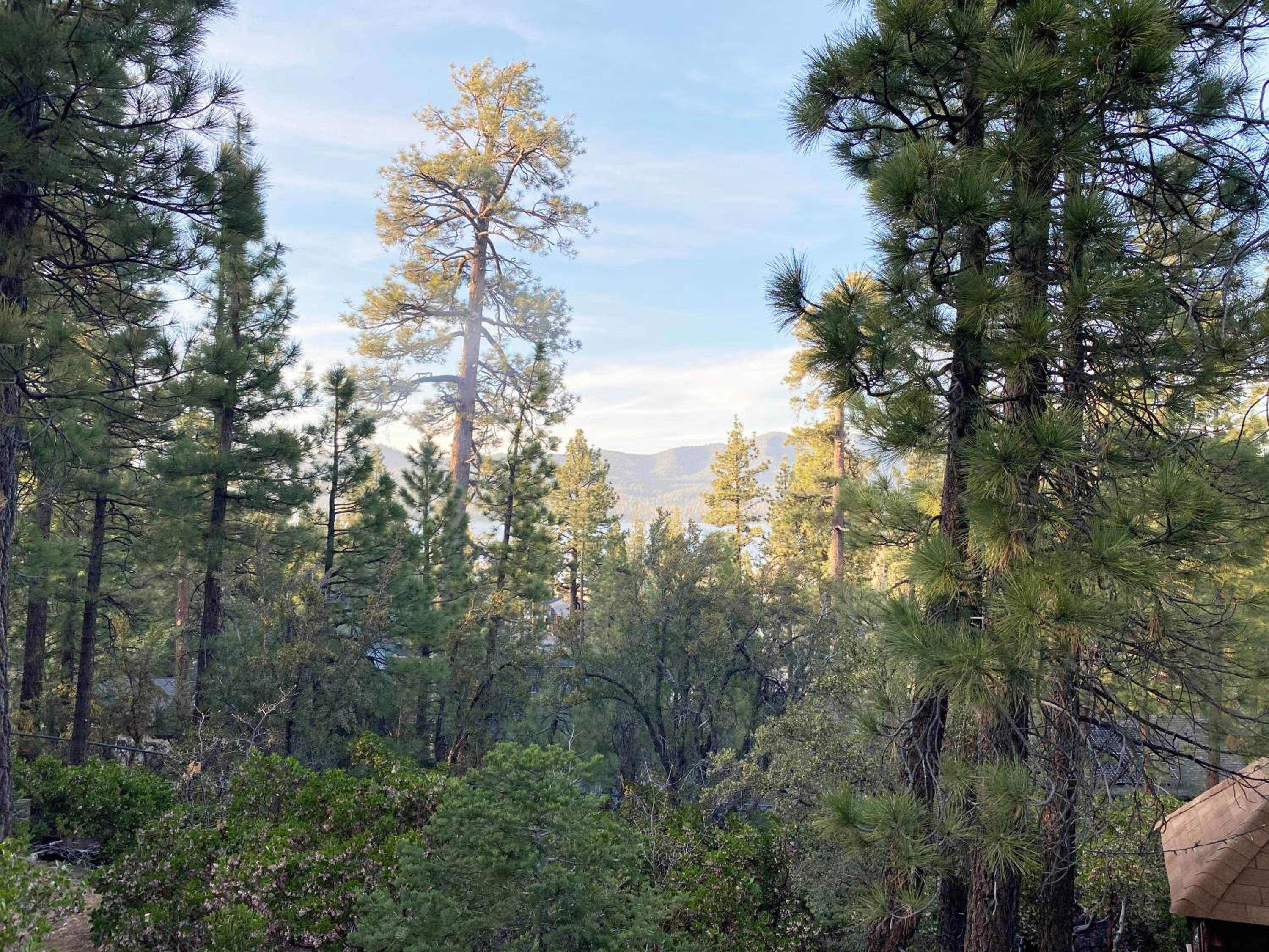 ITH Big Bear Lake Hostel & Lodge