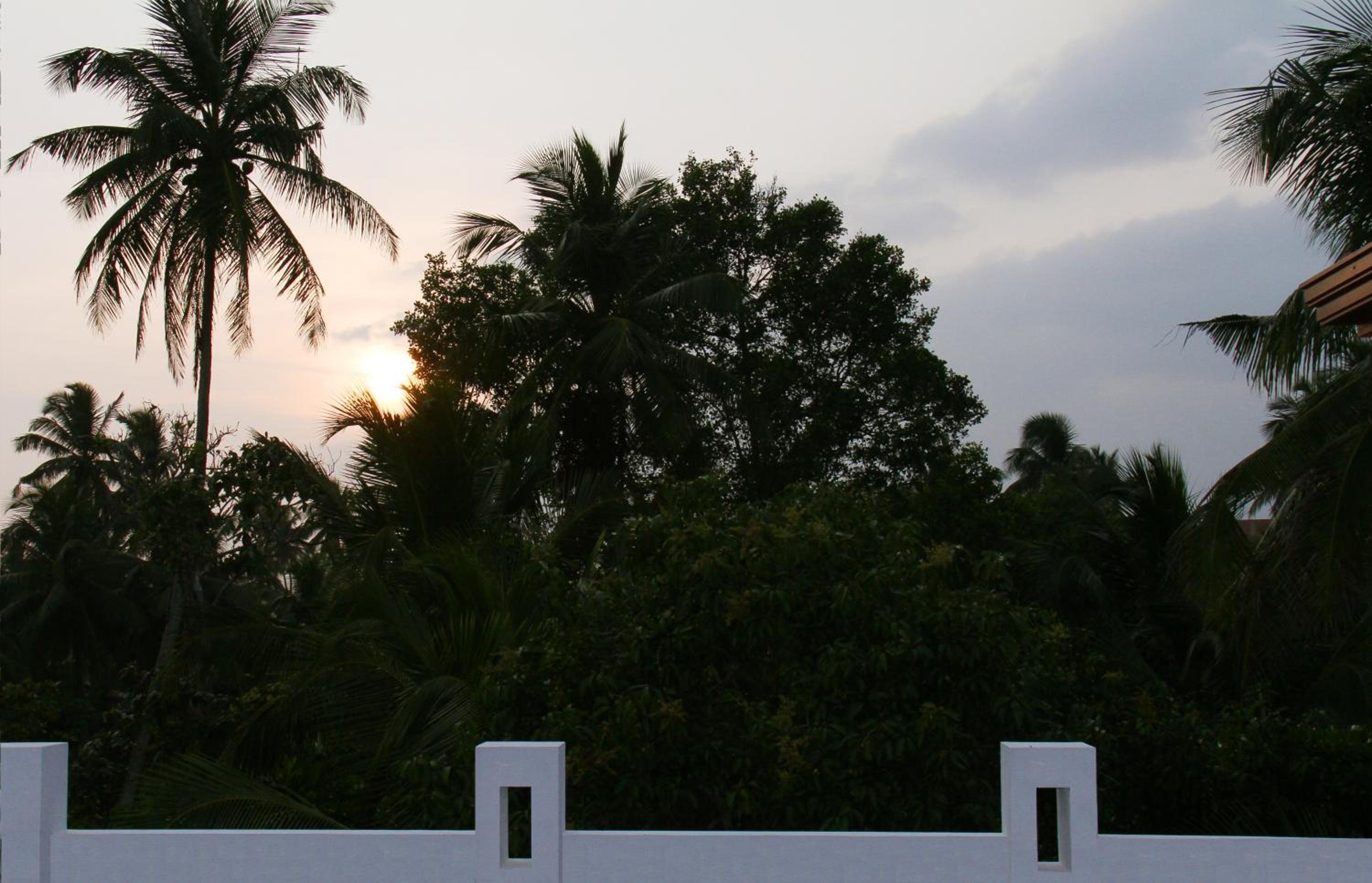 Photo 46