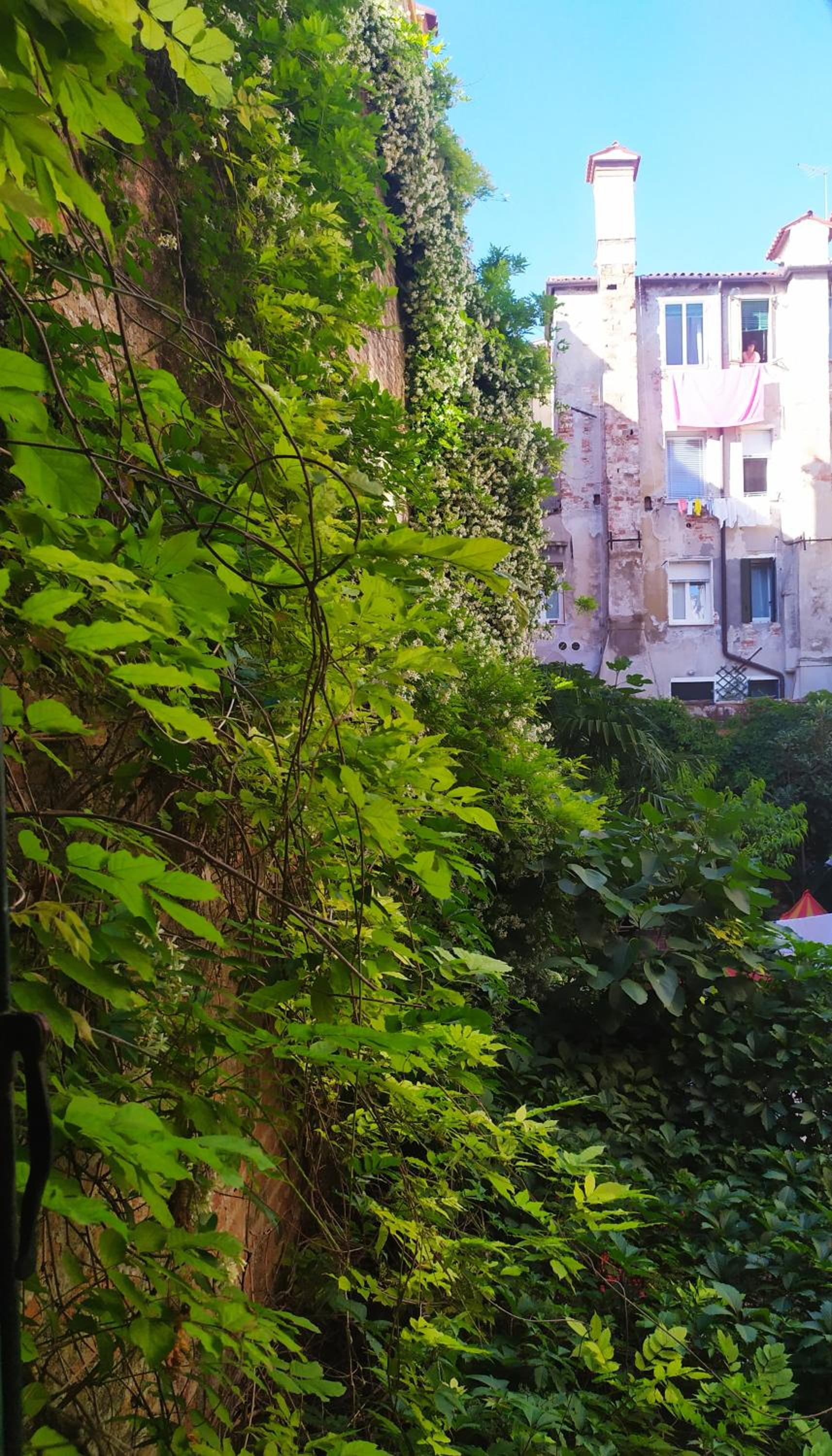 B&B Venezia1964 - bedandbreakfastvenice it