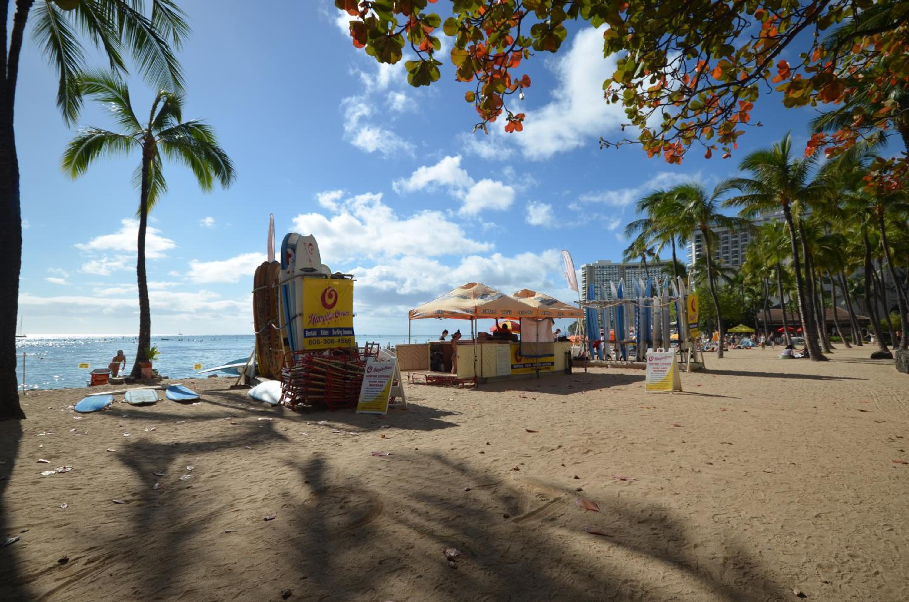 Sea Shore 75 Steps from Waikiki Beach and Sleeps 1 - 3!