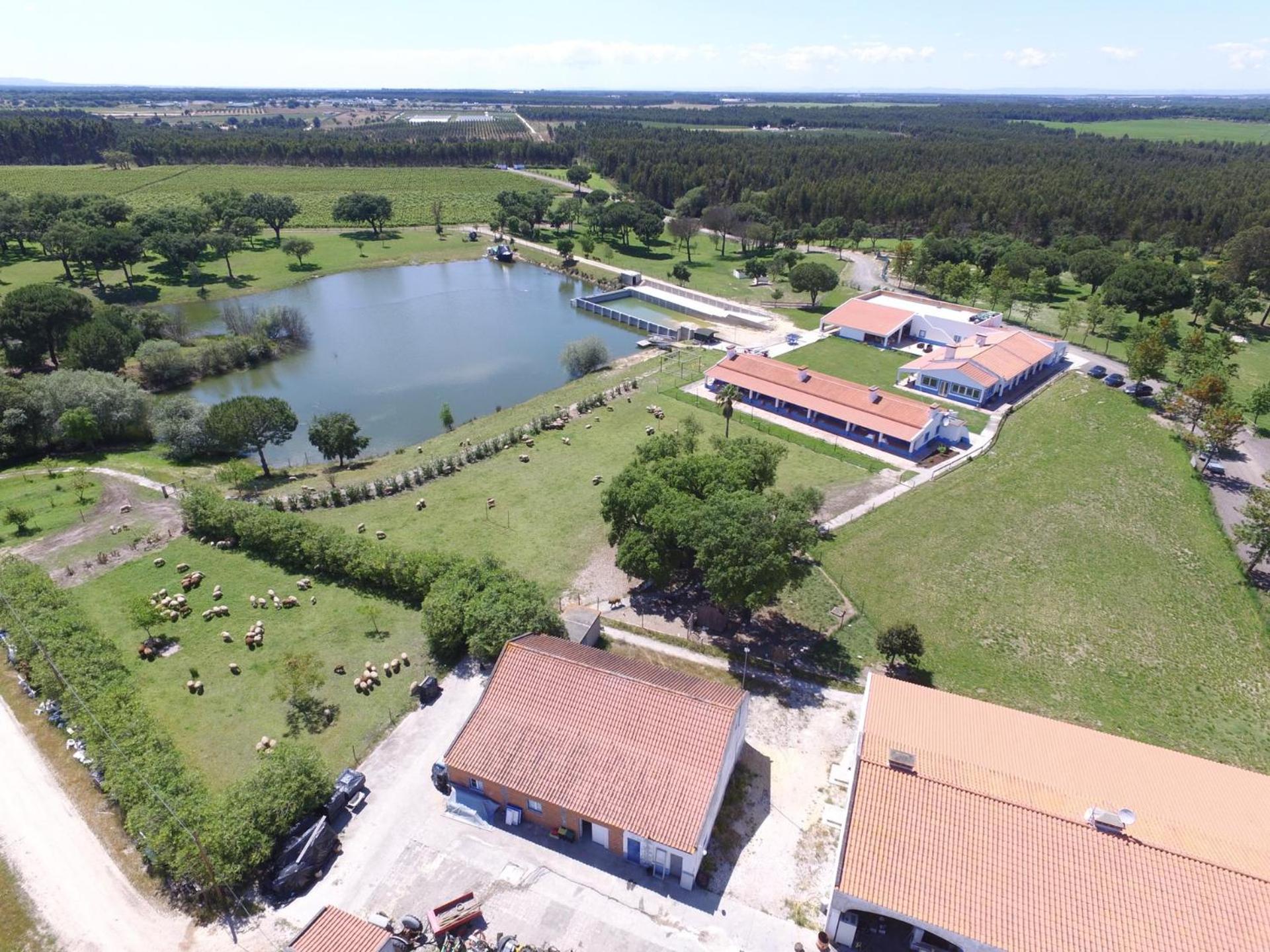 Monte do Lago, Pegões view 2
