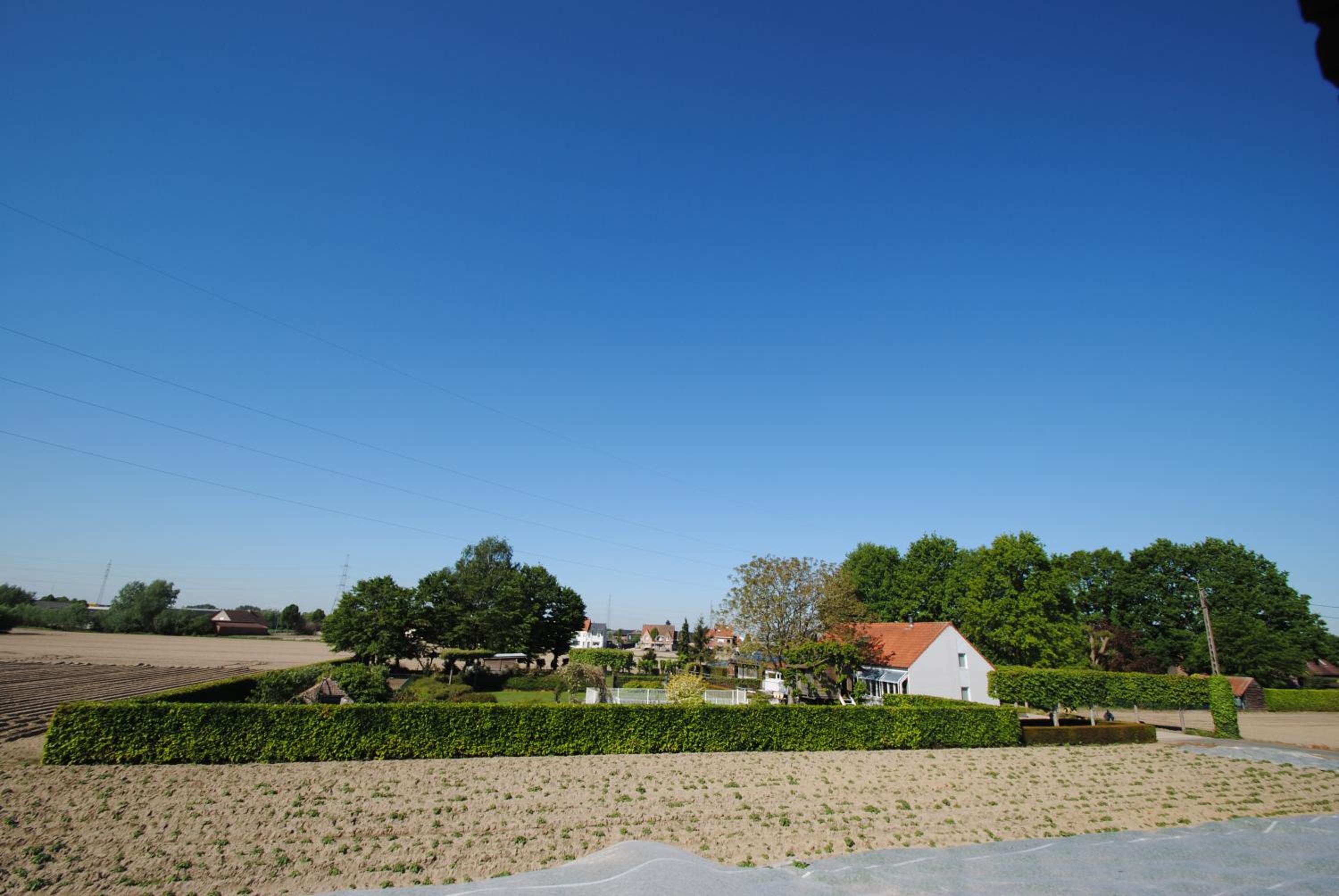 Photo 42