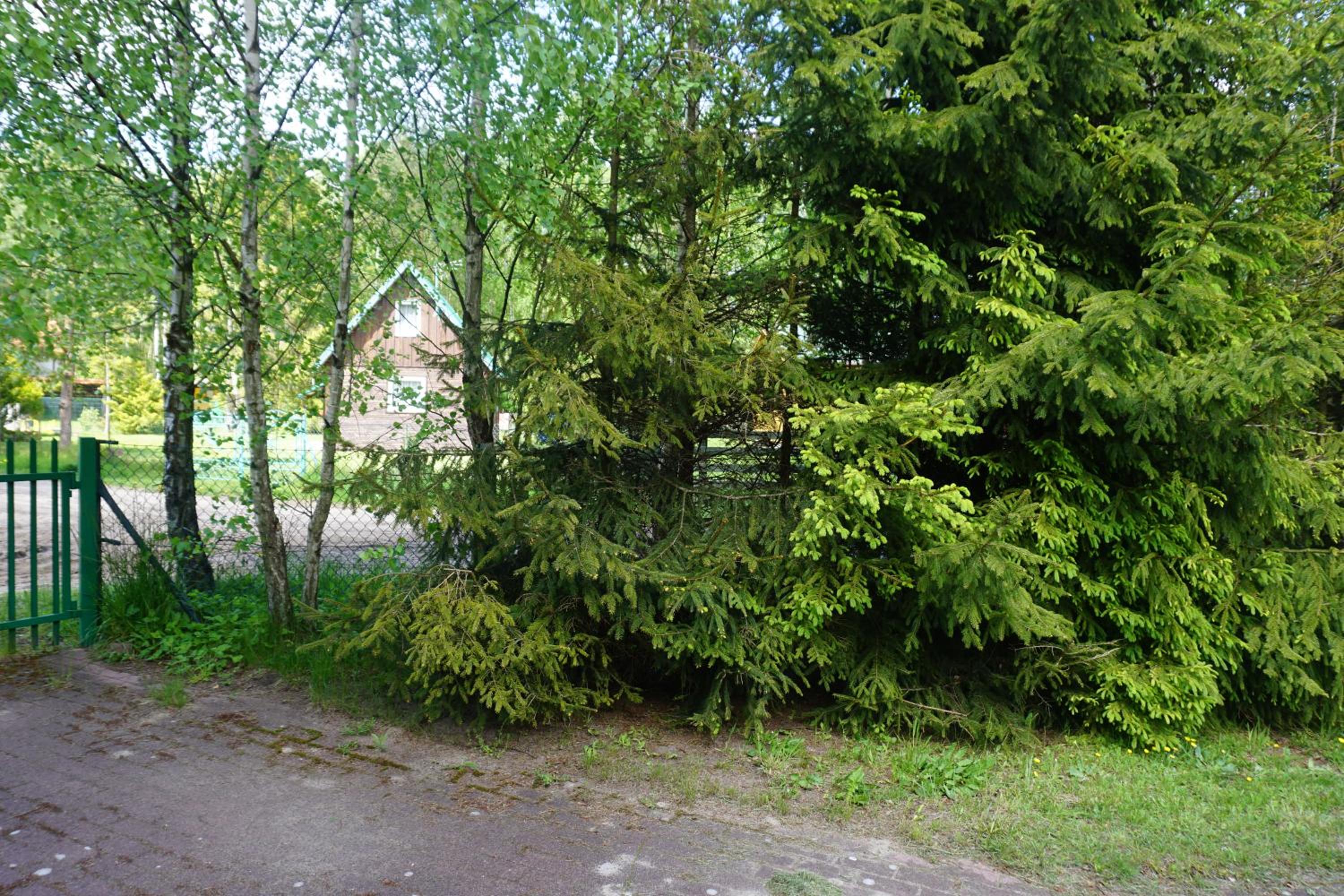 Osada Sosnowa view 2