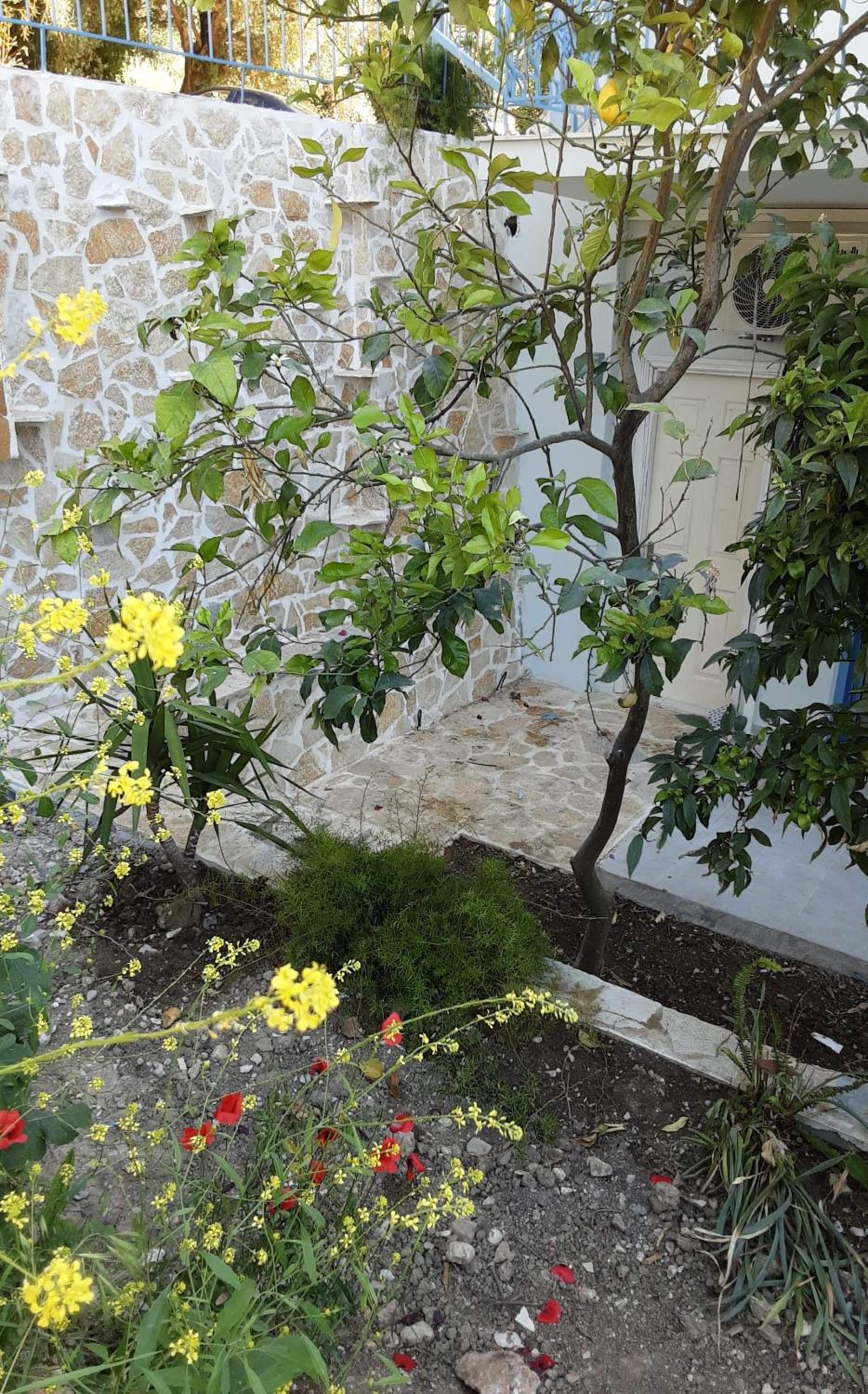 Photo 38