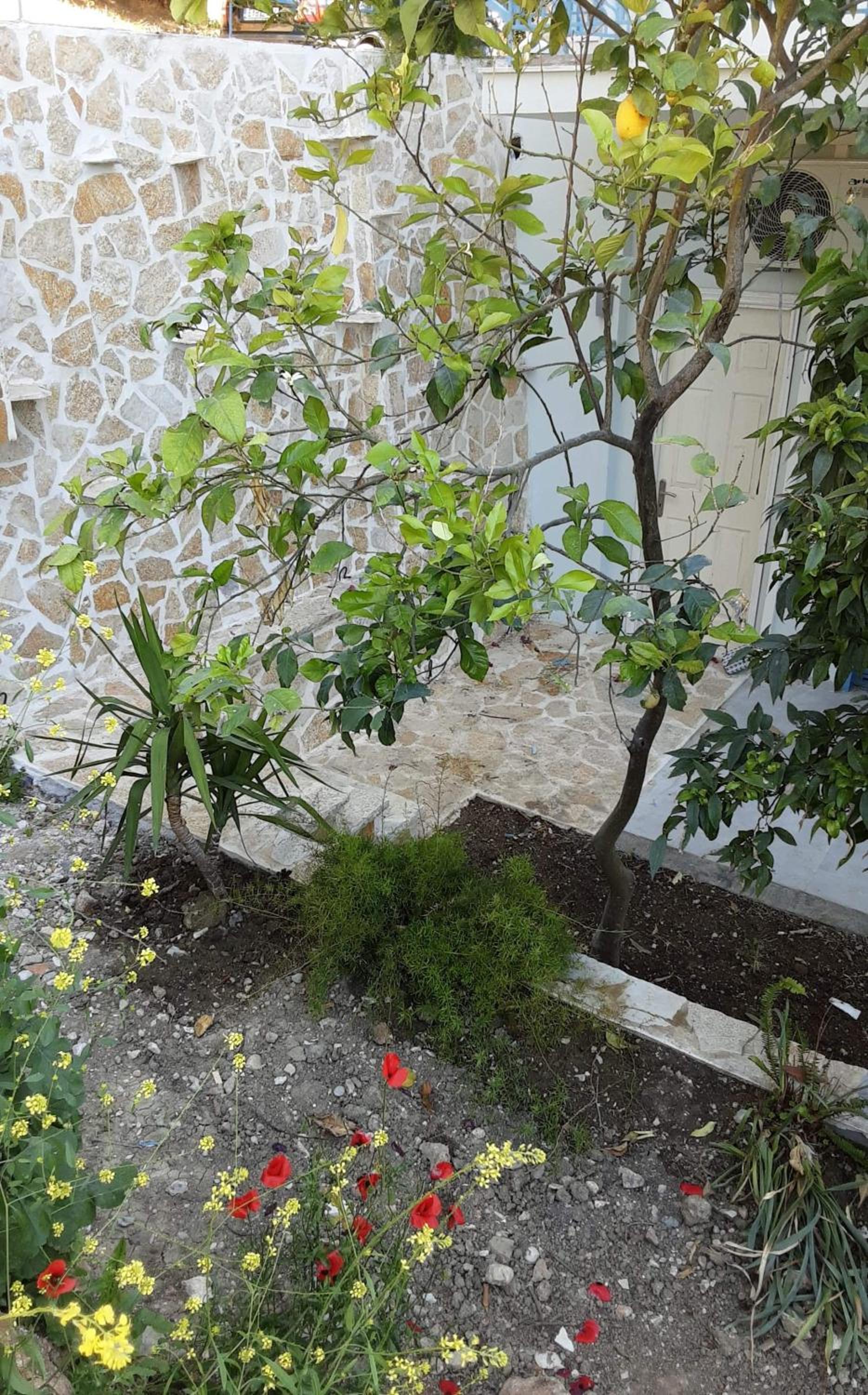 Photo 40