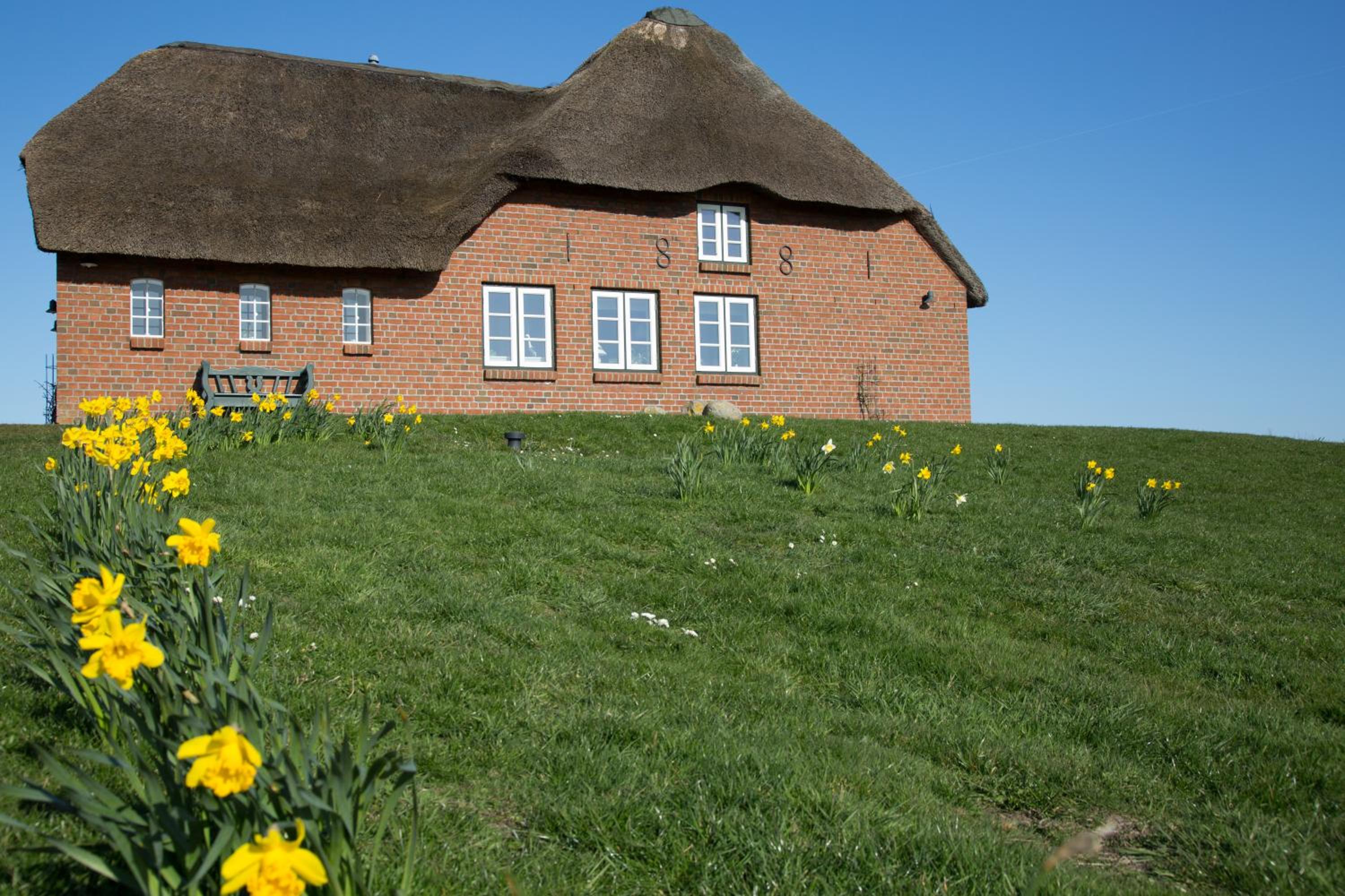 Paulas Haus Ferien unter Reet