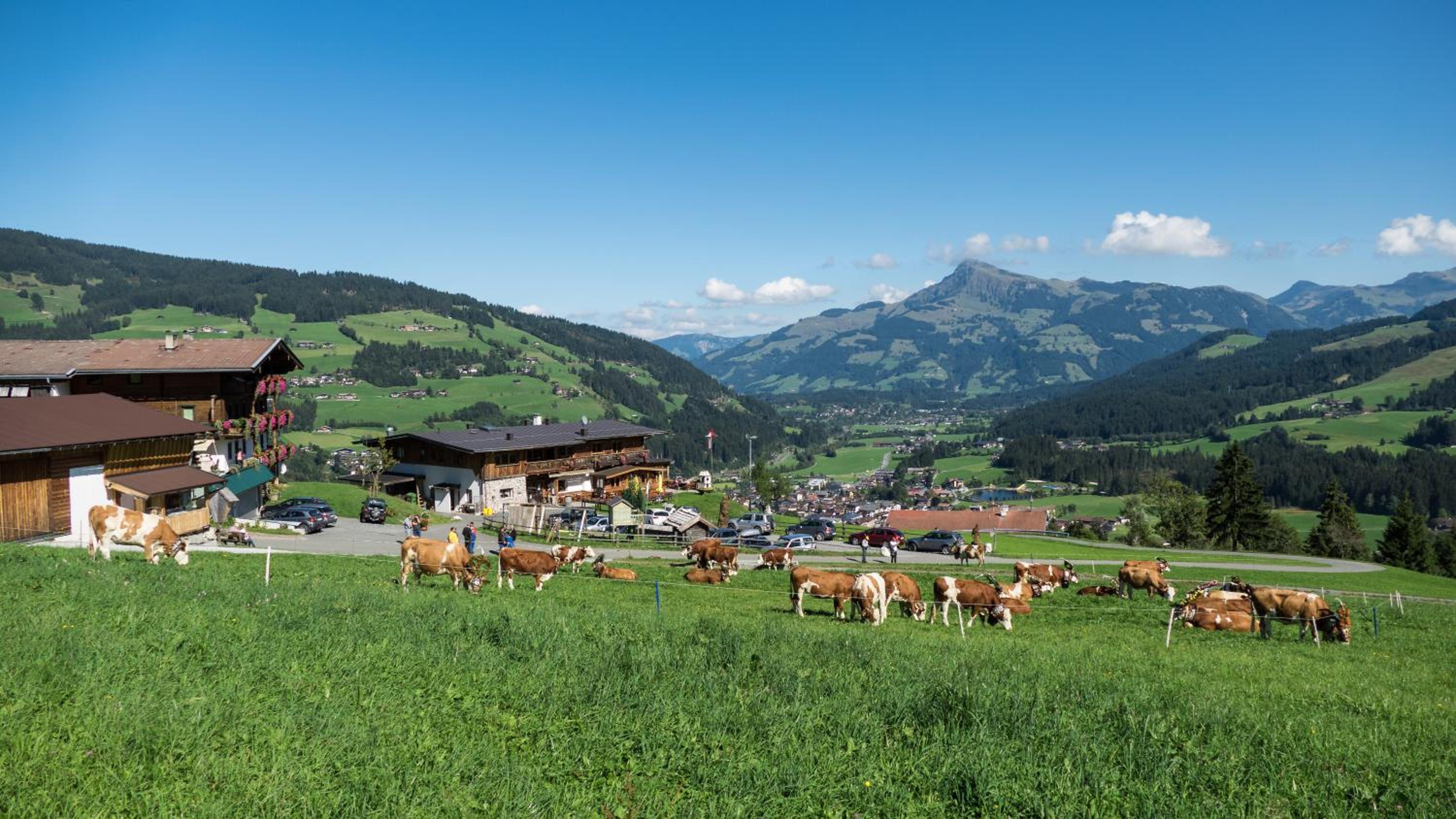 Gasthaus Obergaisberg view 4