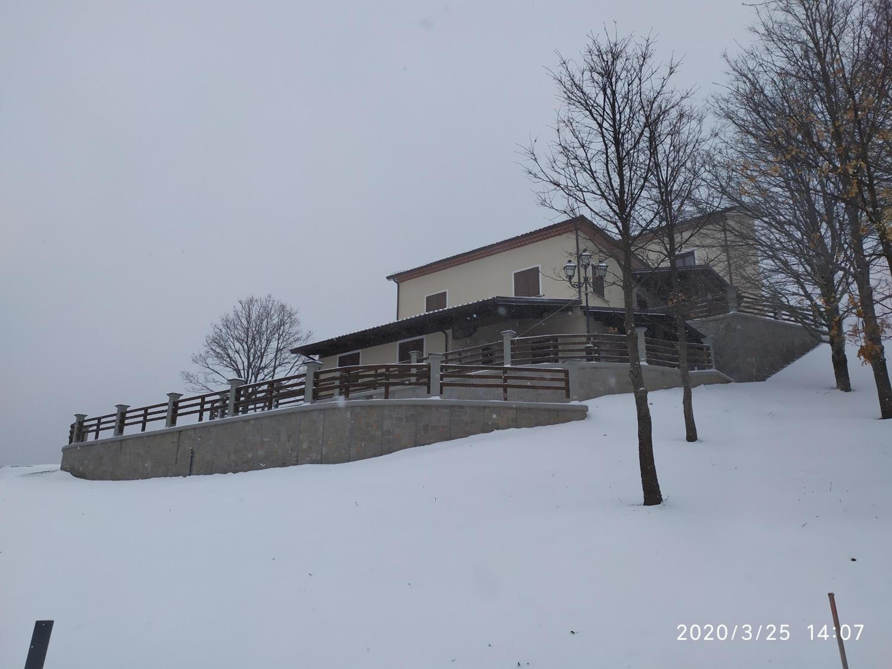Photo 42