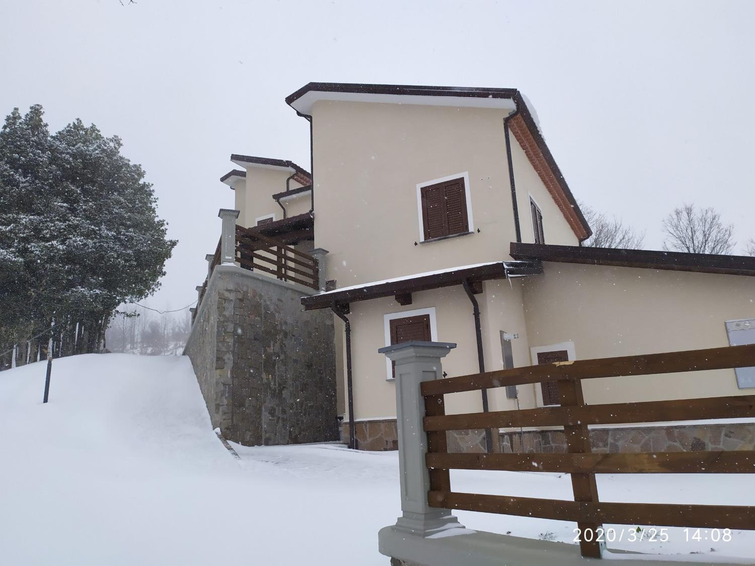 Photo 41