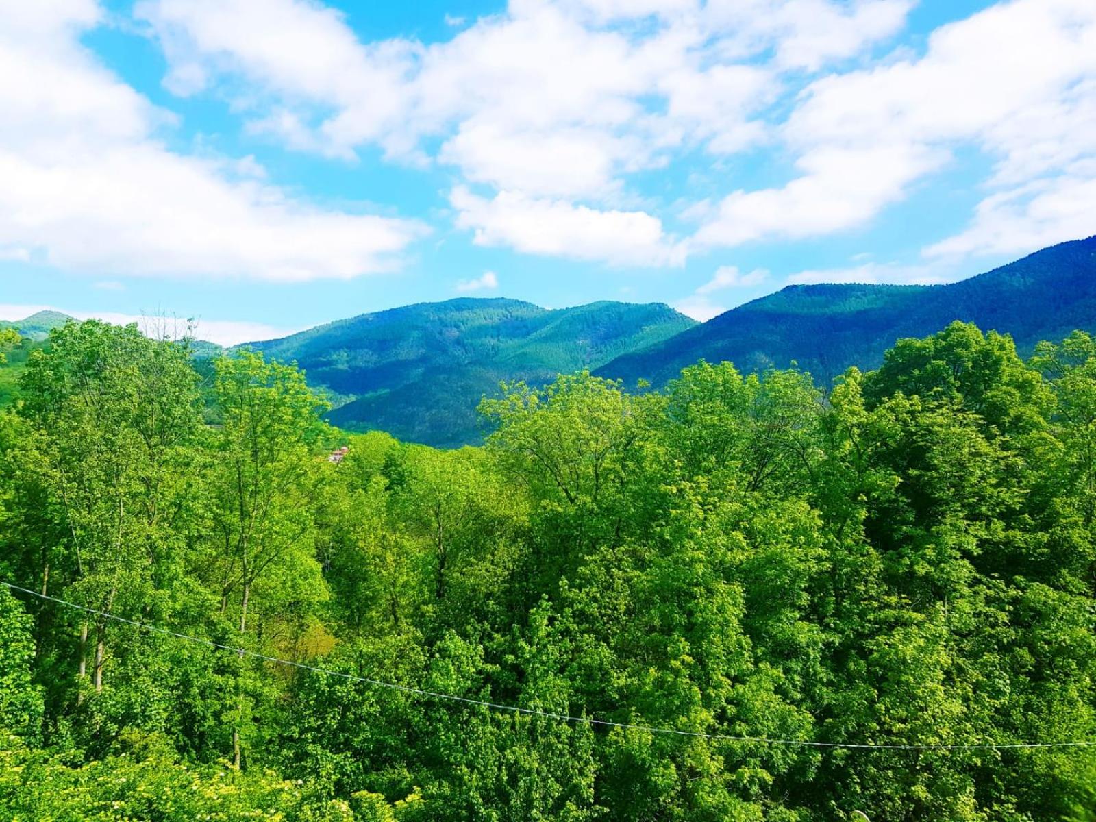 SUITE ROMANTICA - Vista Montagna view 4