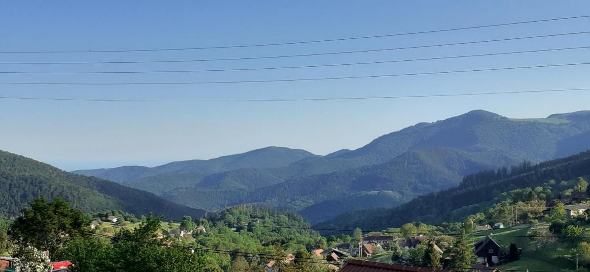 Les Lupins view 3
