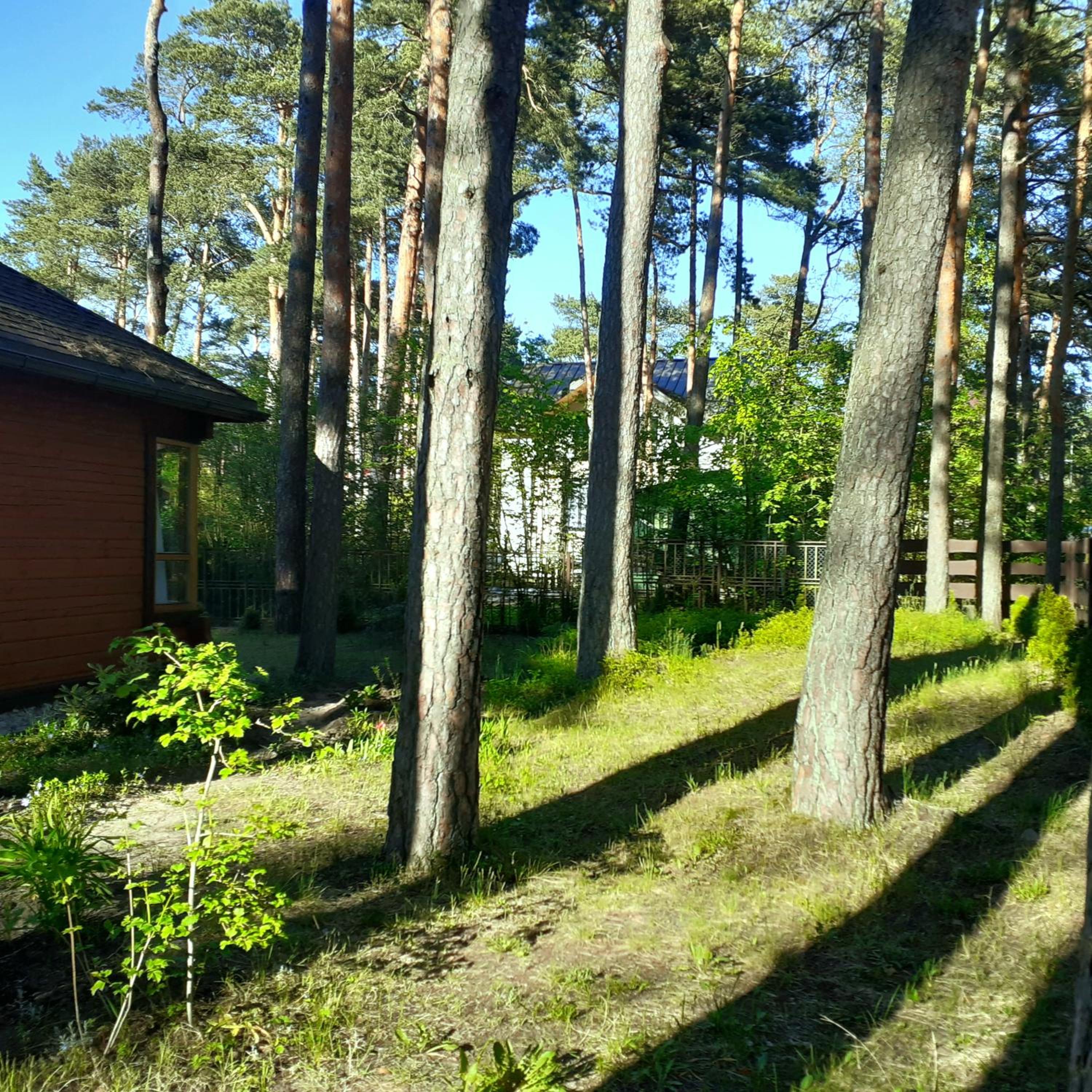 Zīlīšu holiday house