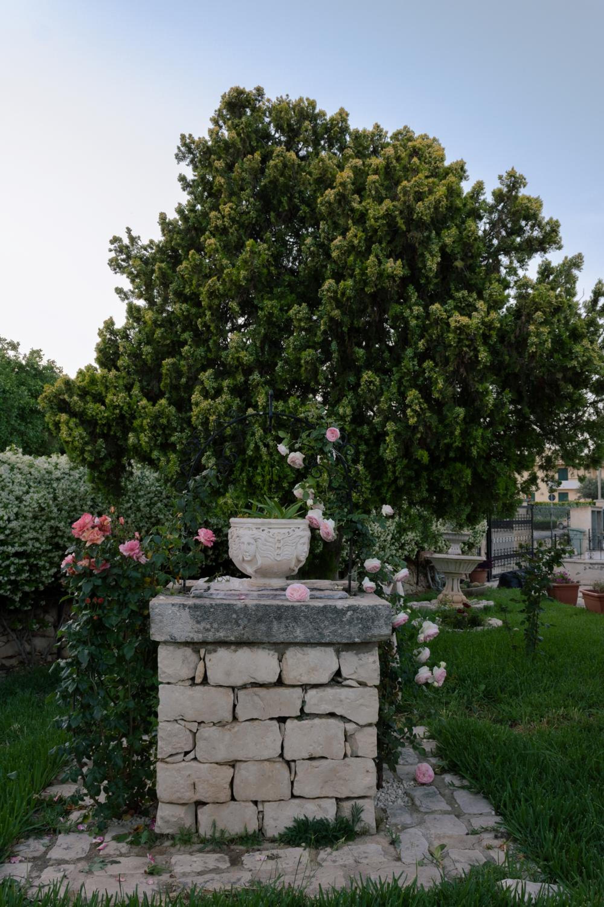 Photo 20