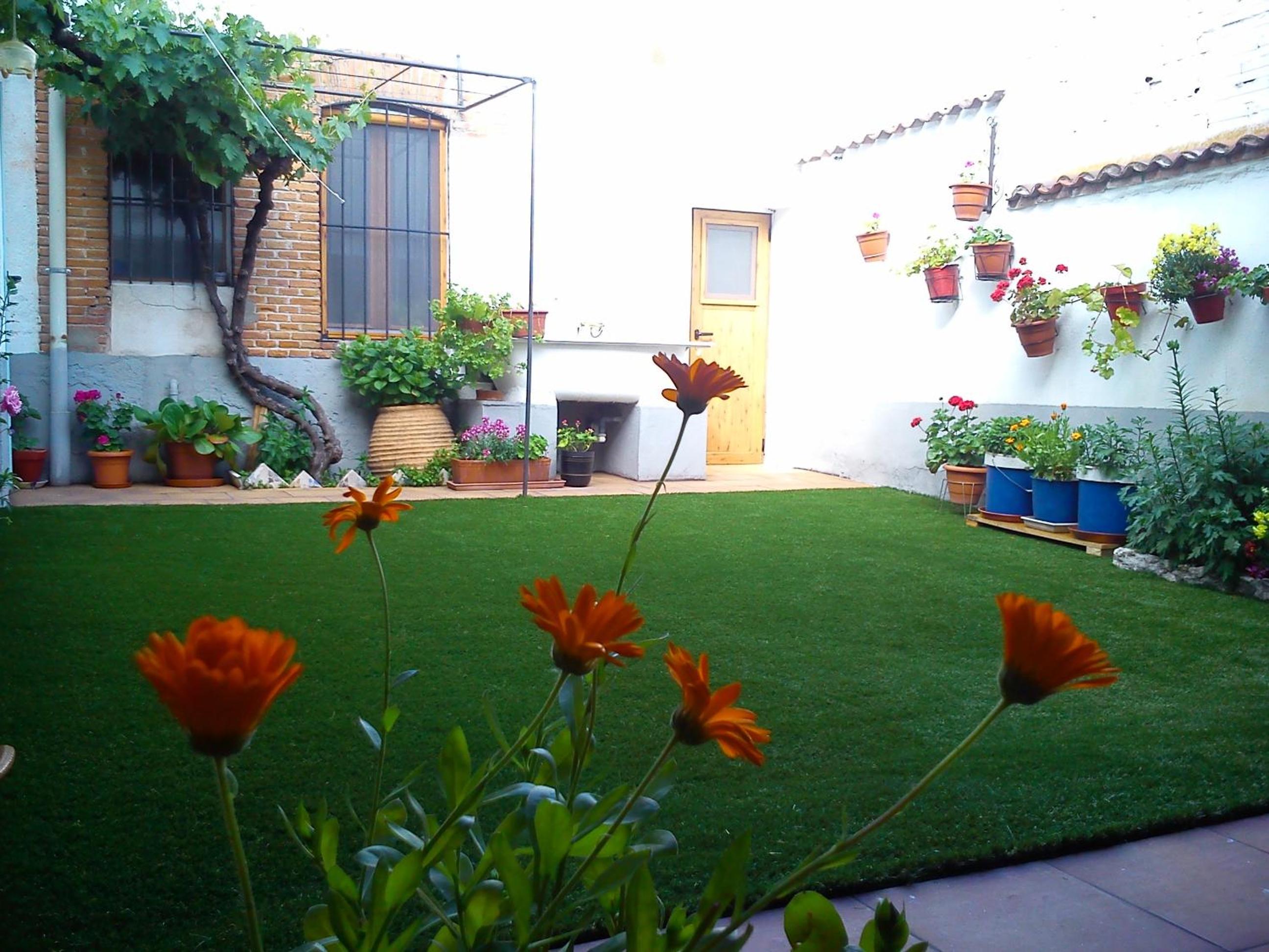 Photo 15