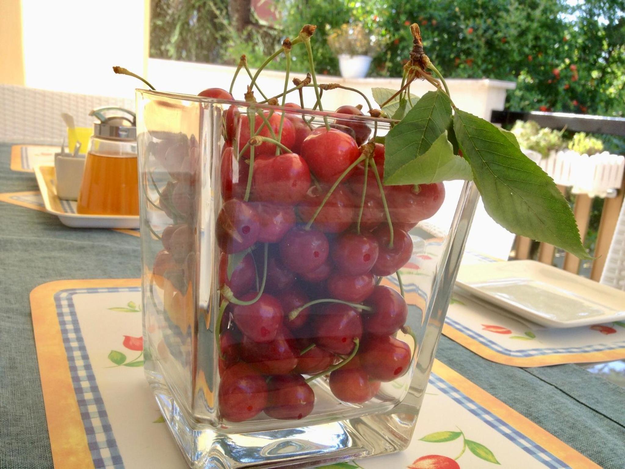 Photo 23
