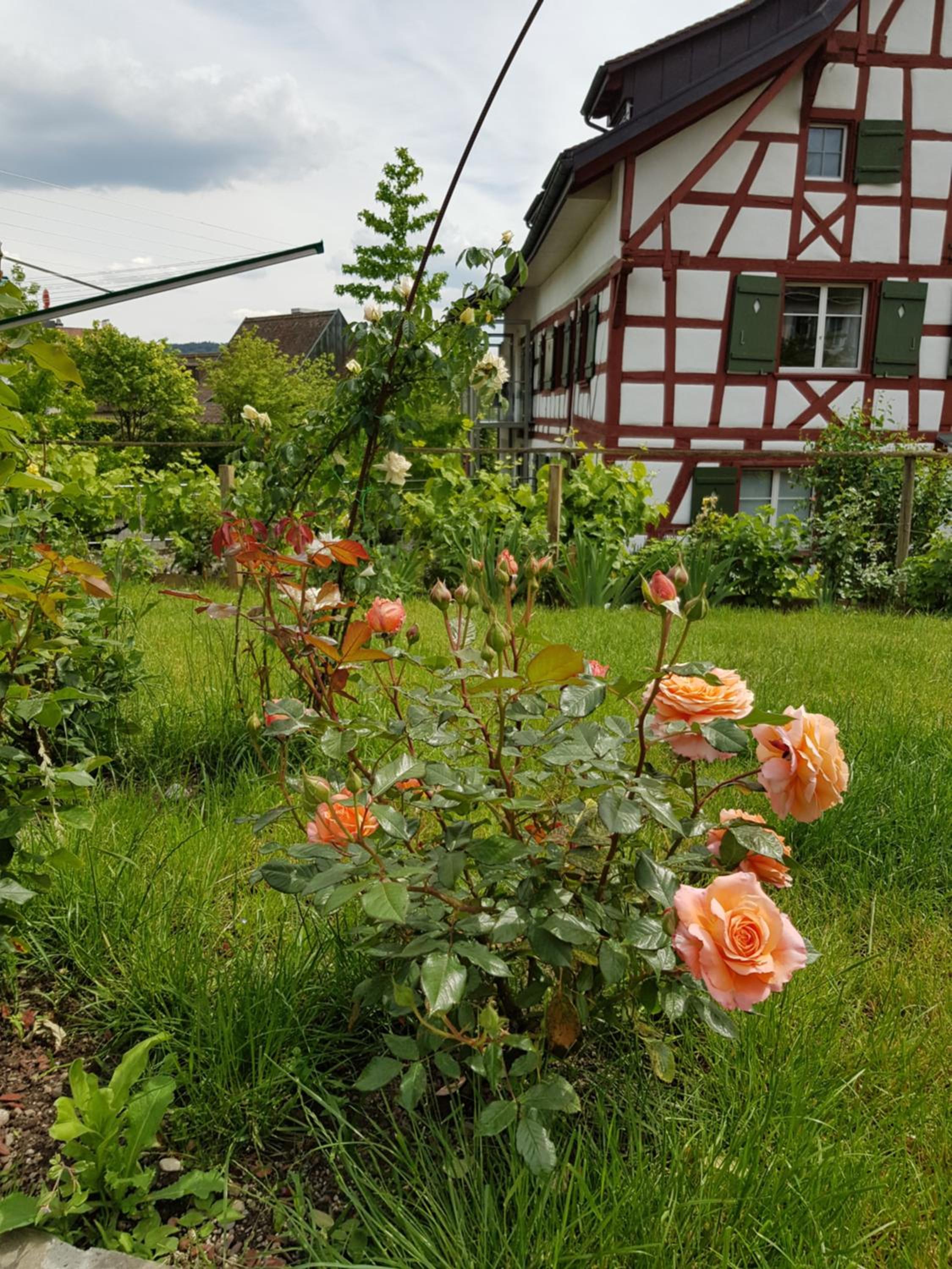 Garni-Hotel Mühletal